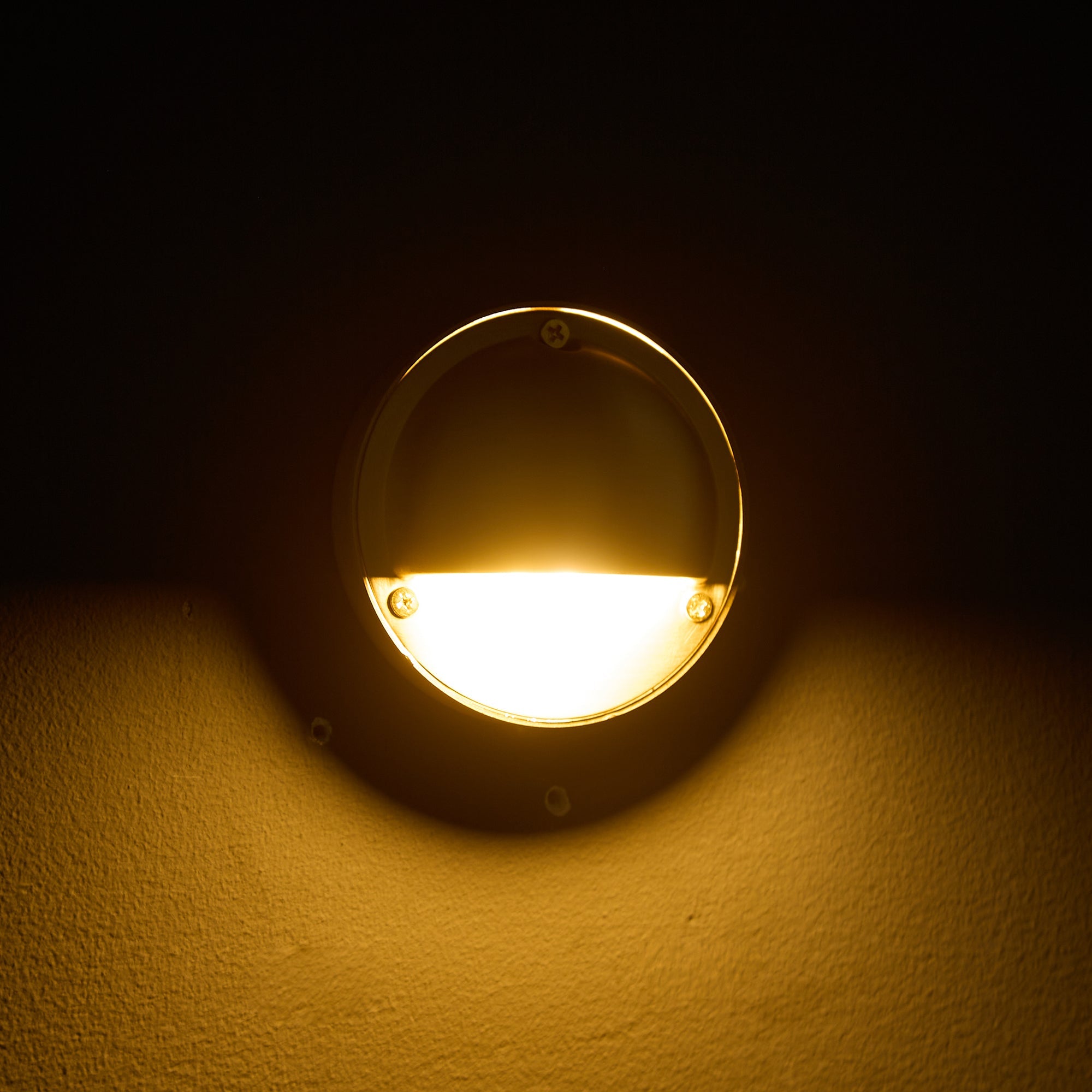 Avenlier Outdoor Wall Light