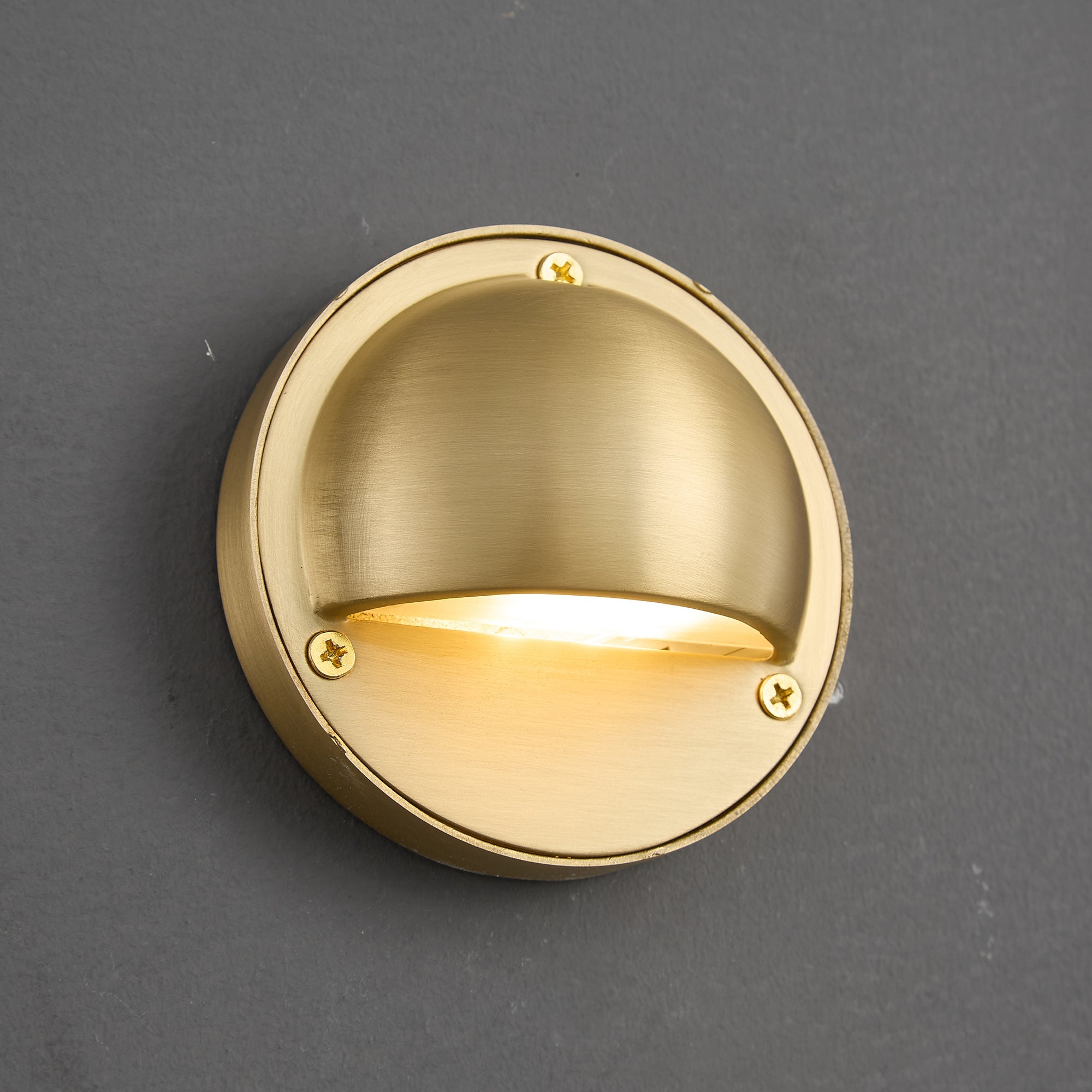 Avenlier Outdoor Wall Light