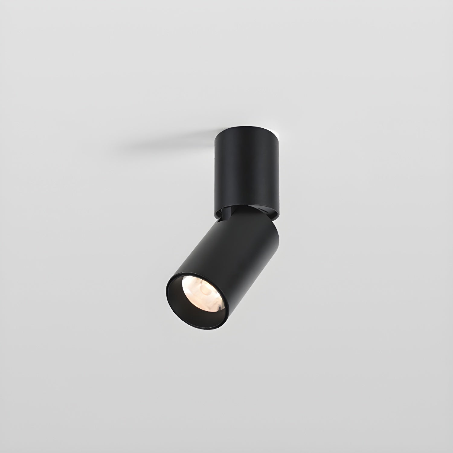 Joleizan Spotlight Ceiling Light