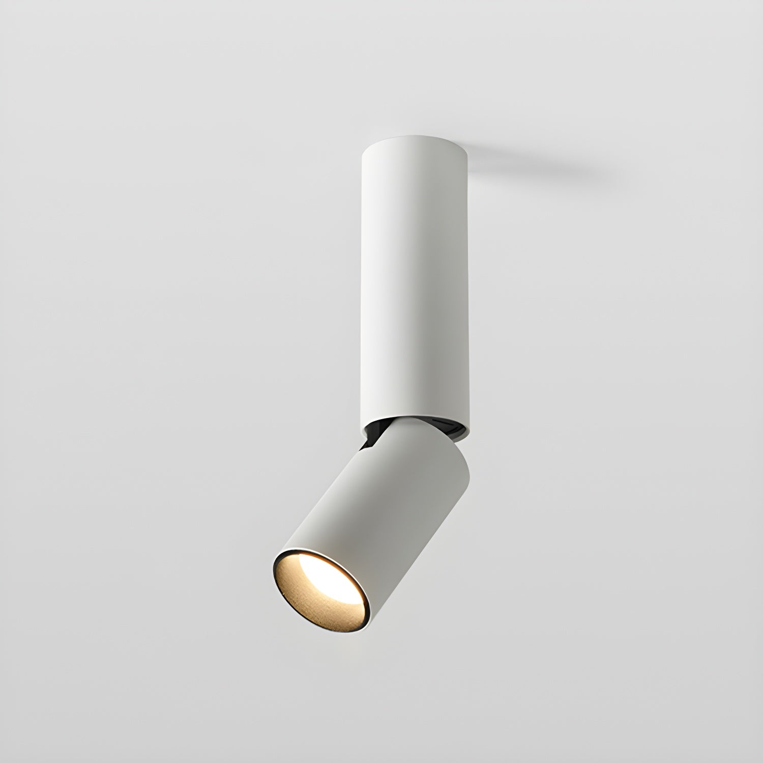 Joleizan Spotlight Ceiling Light