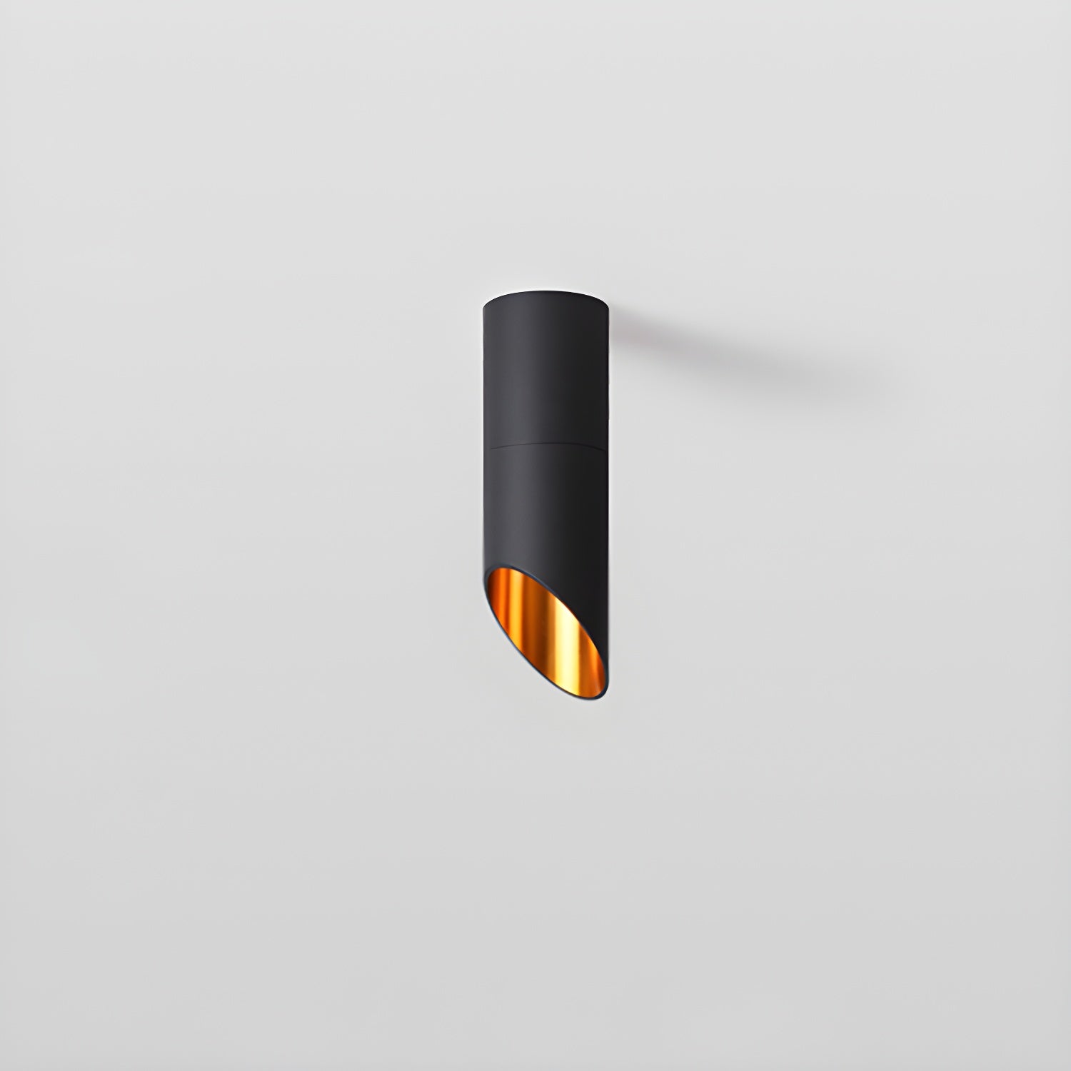 Sconime Ceiling Light