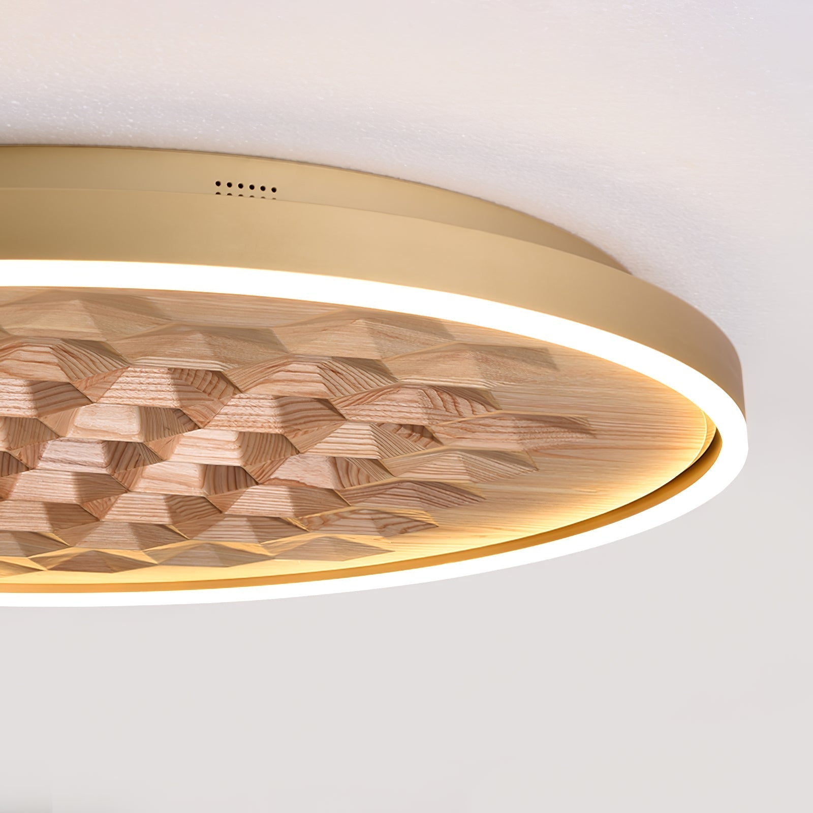 Heroza Ceiling Light