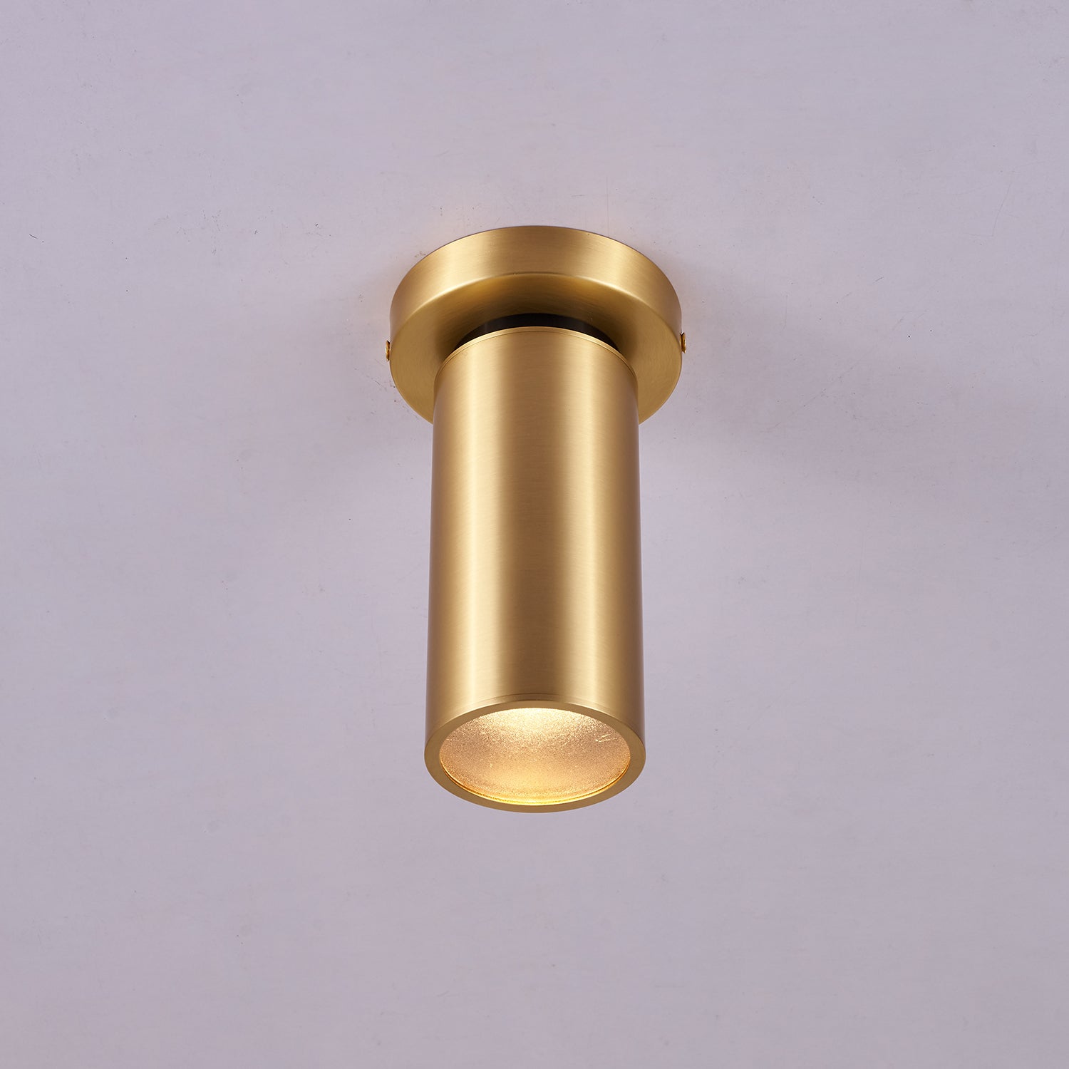 Bolizo Ceiling Light