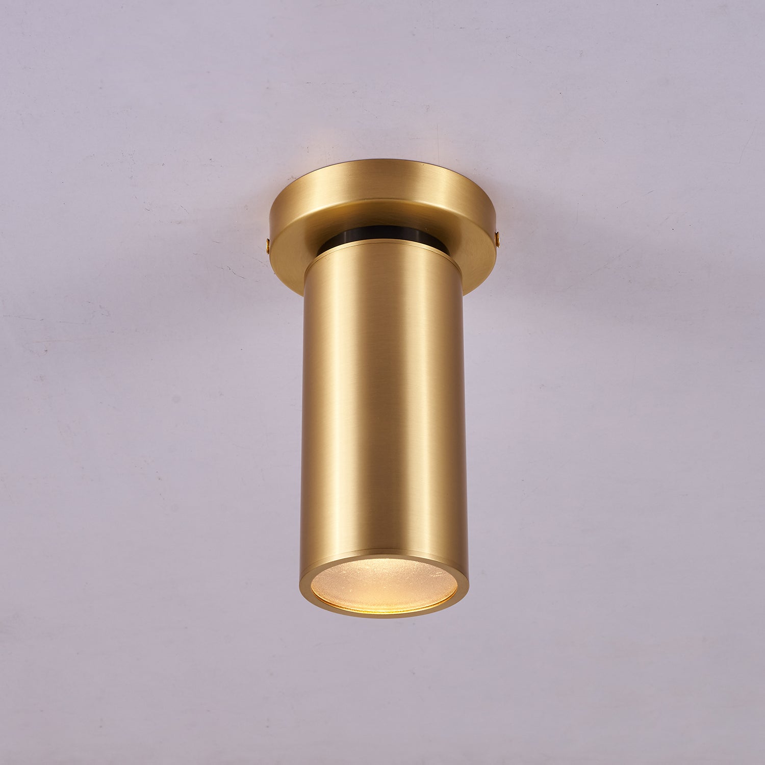 Bolizo Ceiling Light