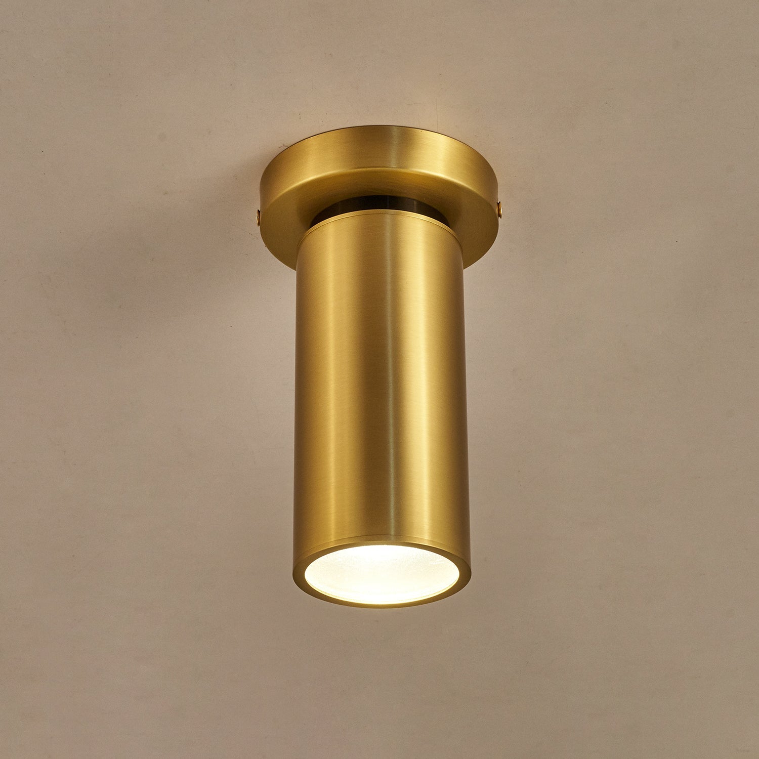 Bolizo Ceiling Light