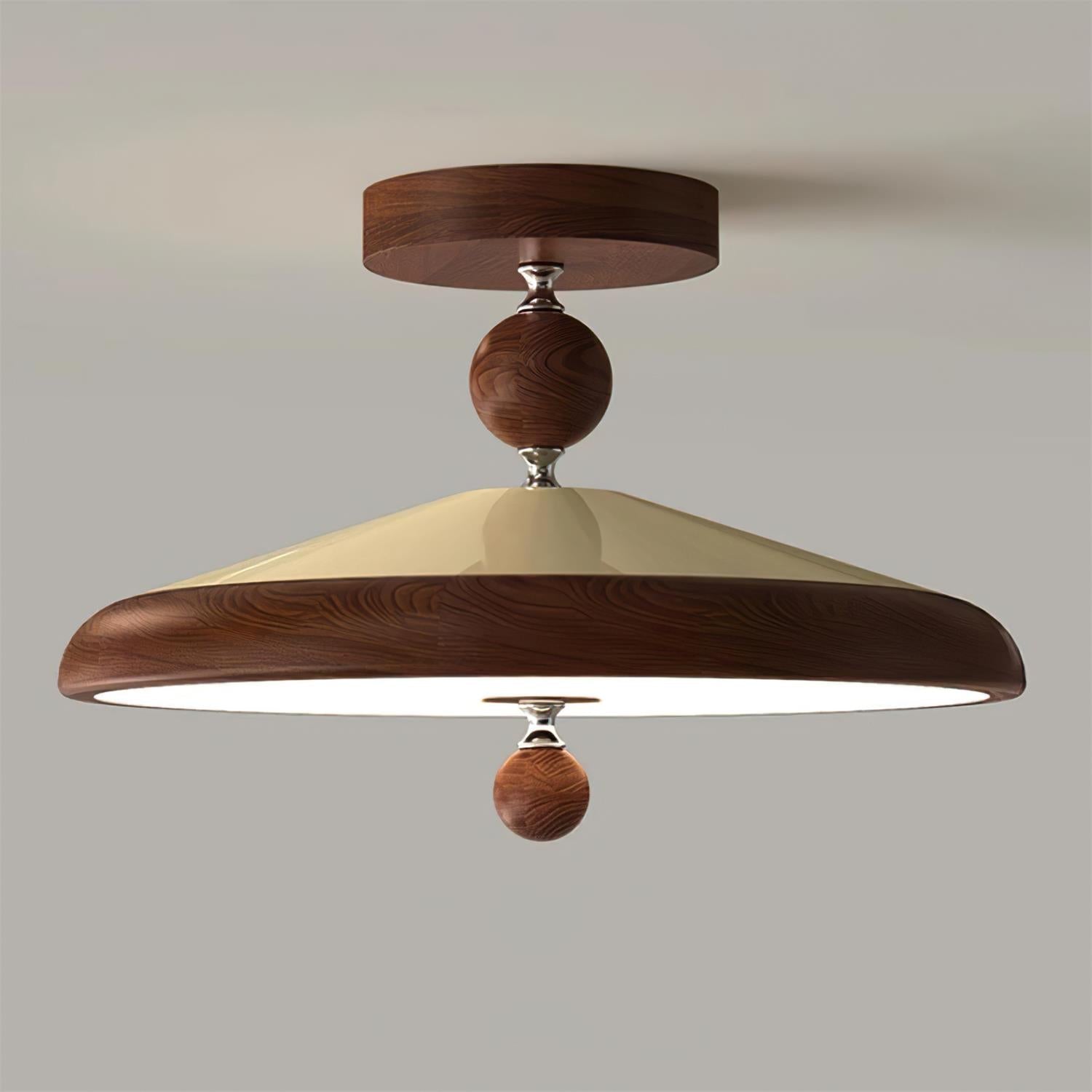 Telisoma Ceiling Light