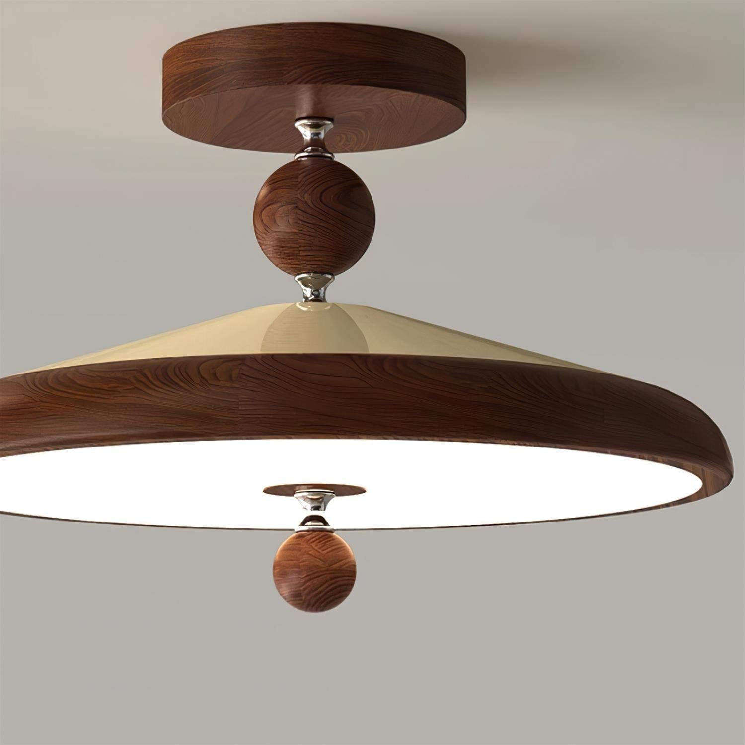 Telisoma Ceiling Light