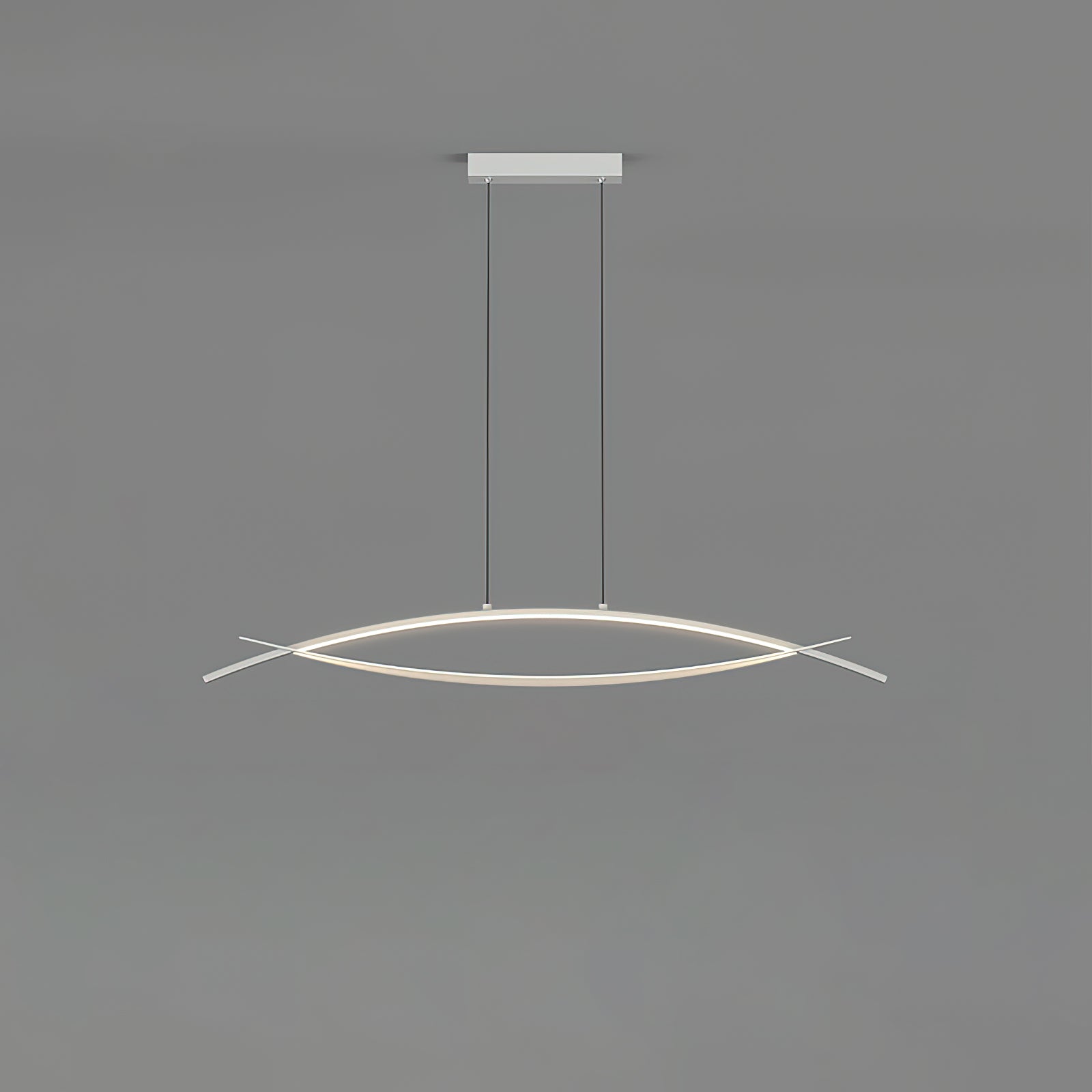 Cae Boogdesign Pendant Light