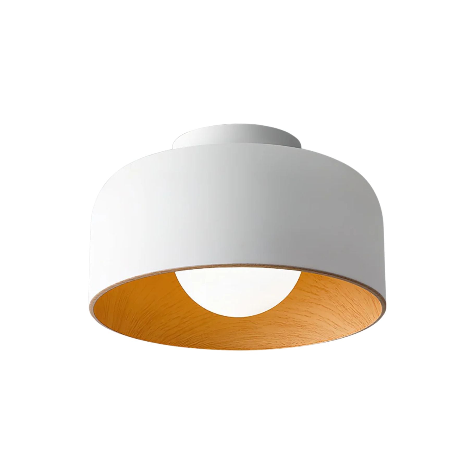 Zarnivo Ceiling Light