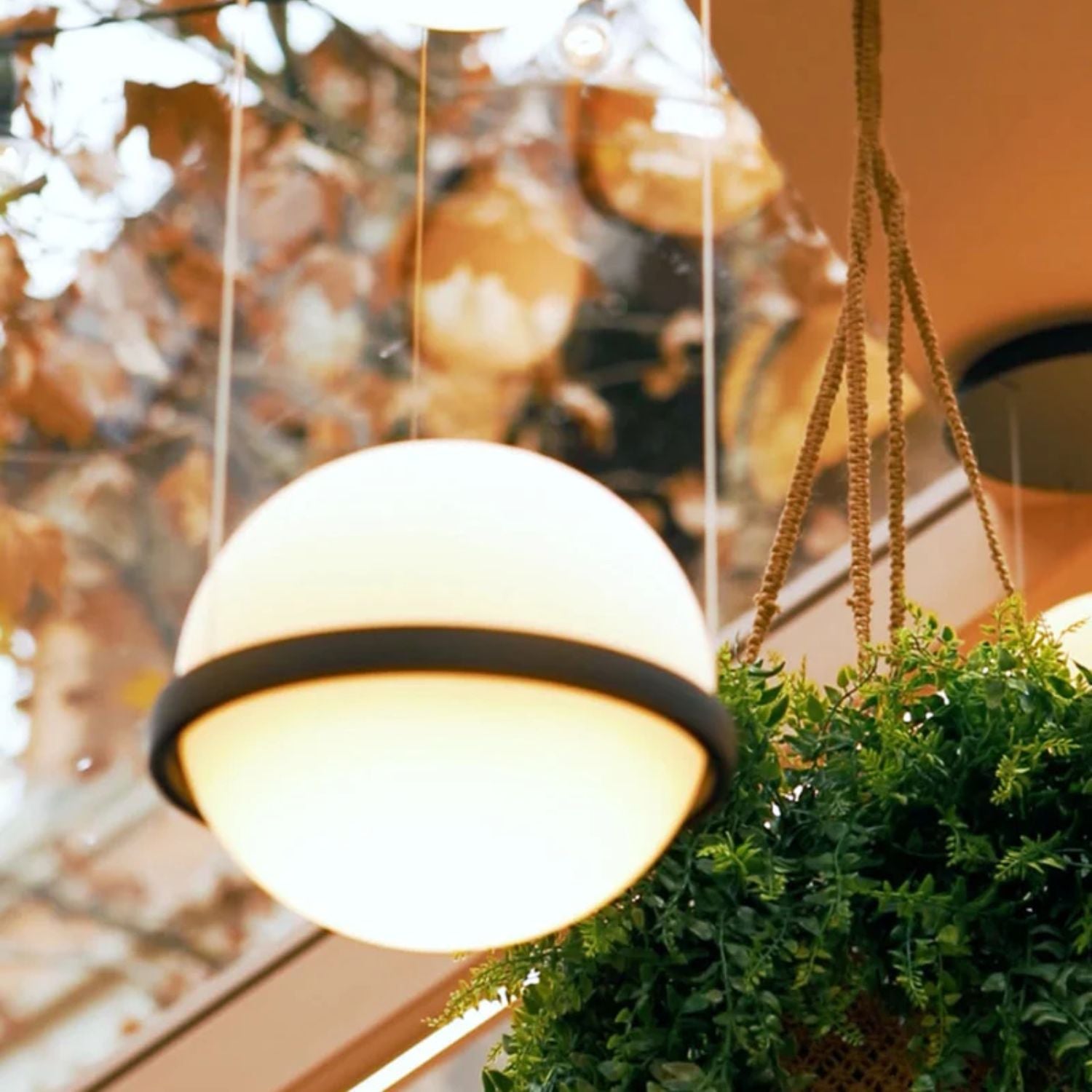 Obreso Pendant Light