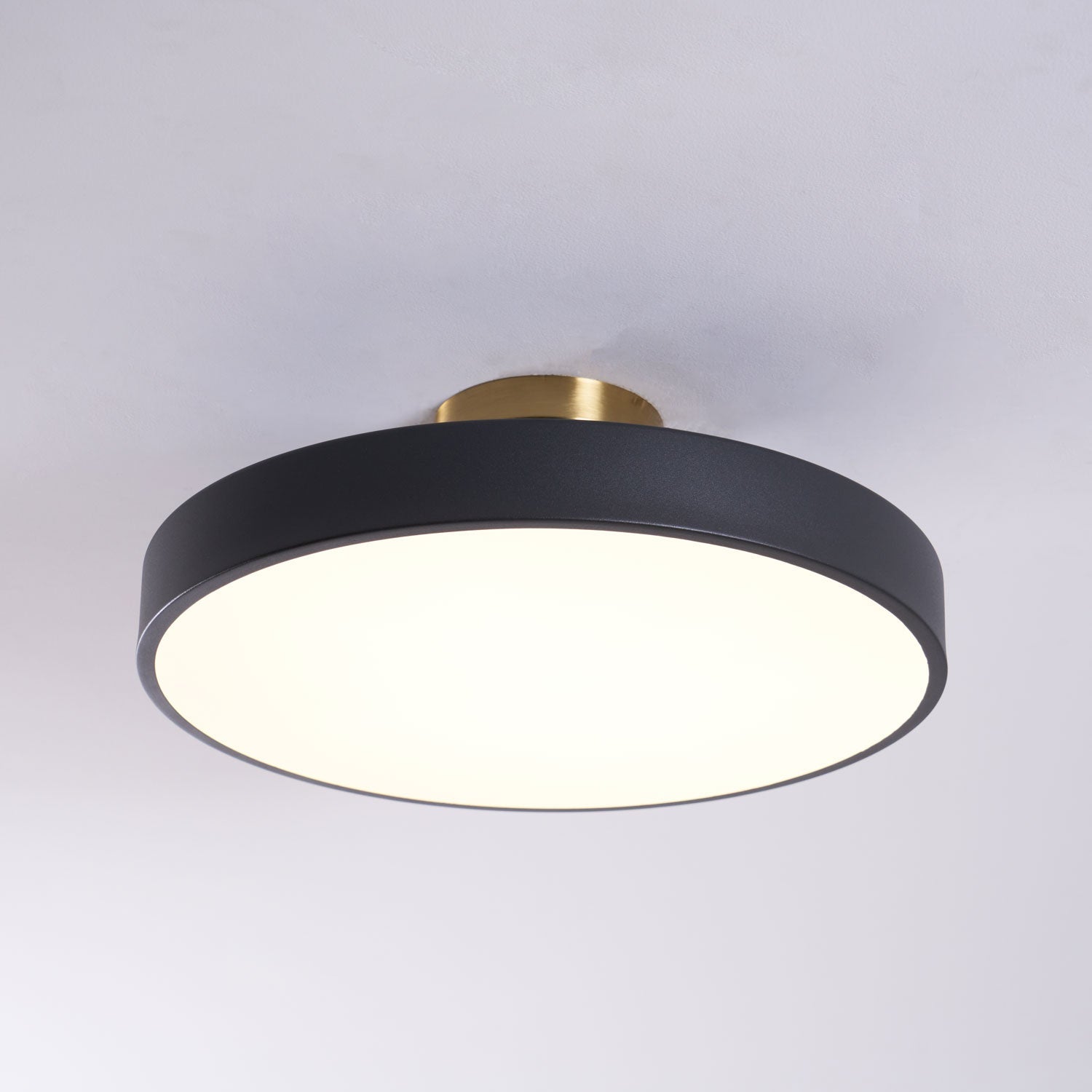 Lumeanon Round Ceiling Light