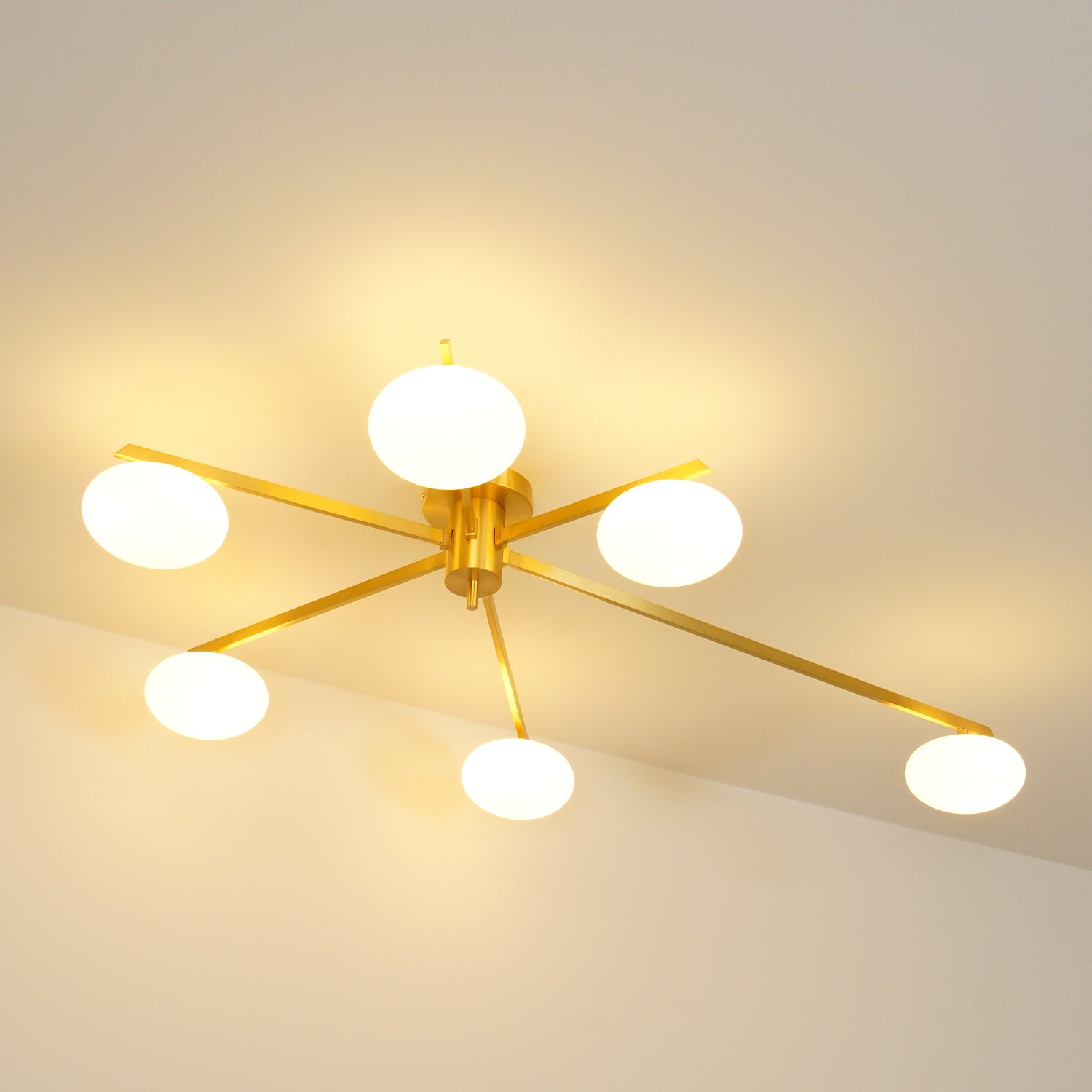Japezo Ceiling Light