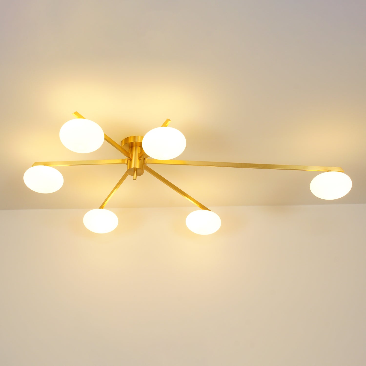 Japezo Ceiling Light