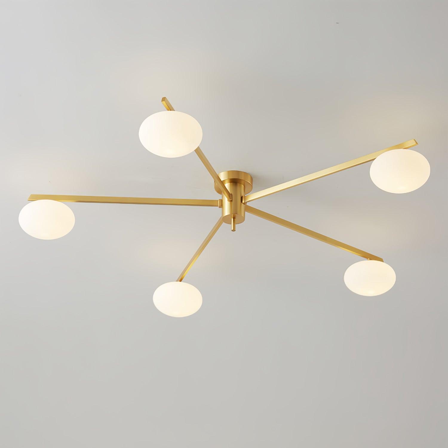Japezo Ceiling Light