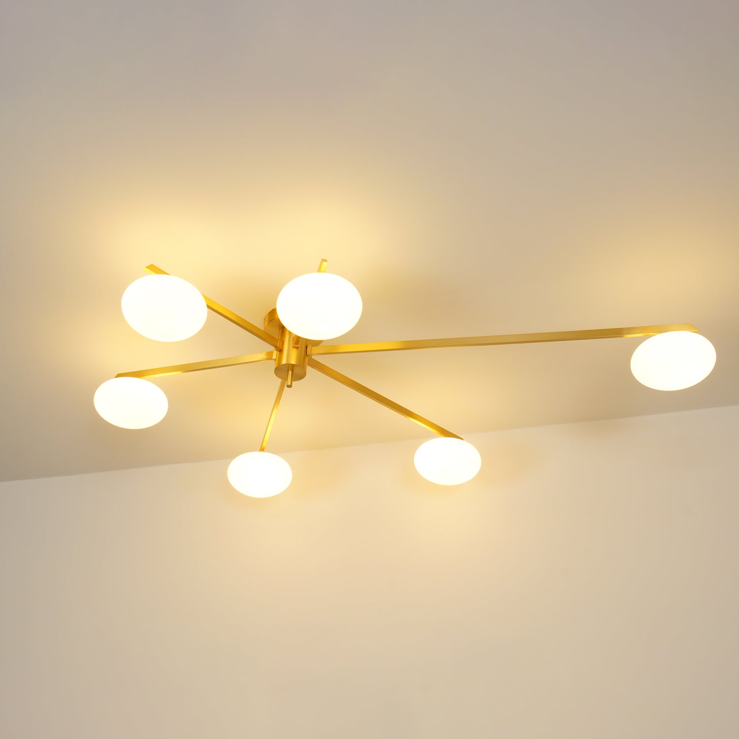 Japezo Ceiling Light