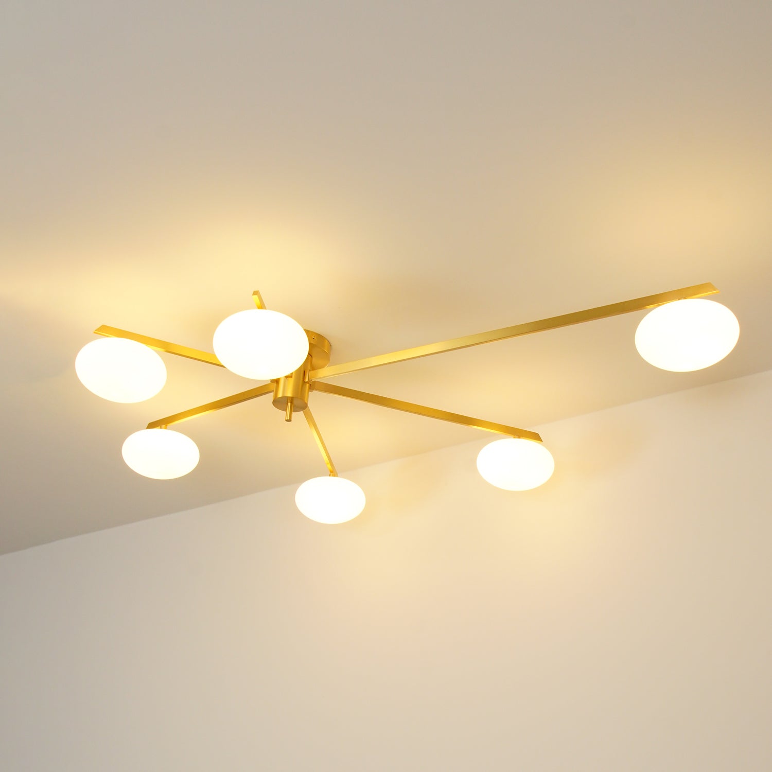 Japezo Ceiling Light