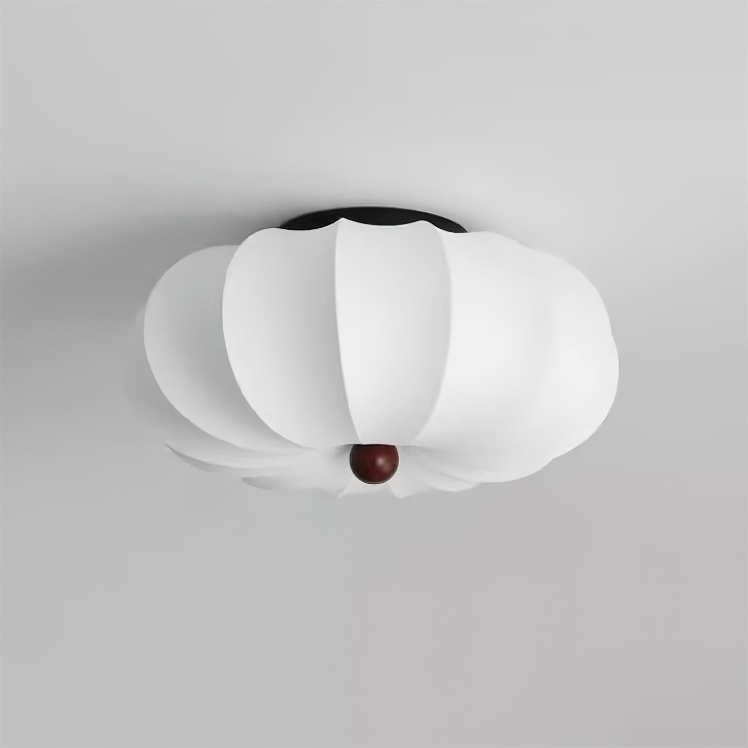 Prozon Ceiling Light