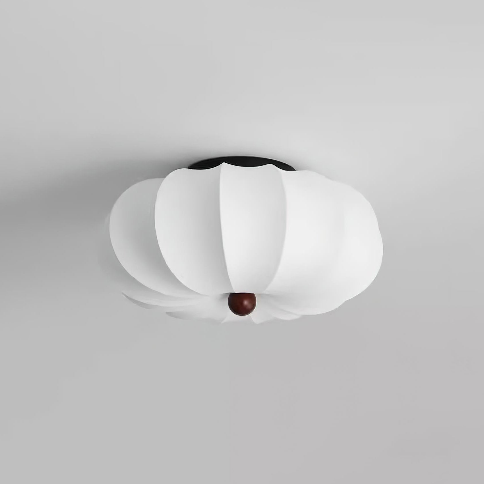Prozon Ceiling Light