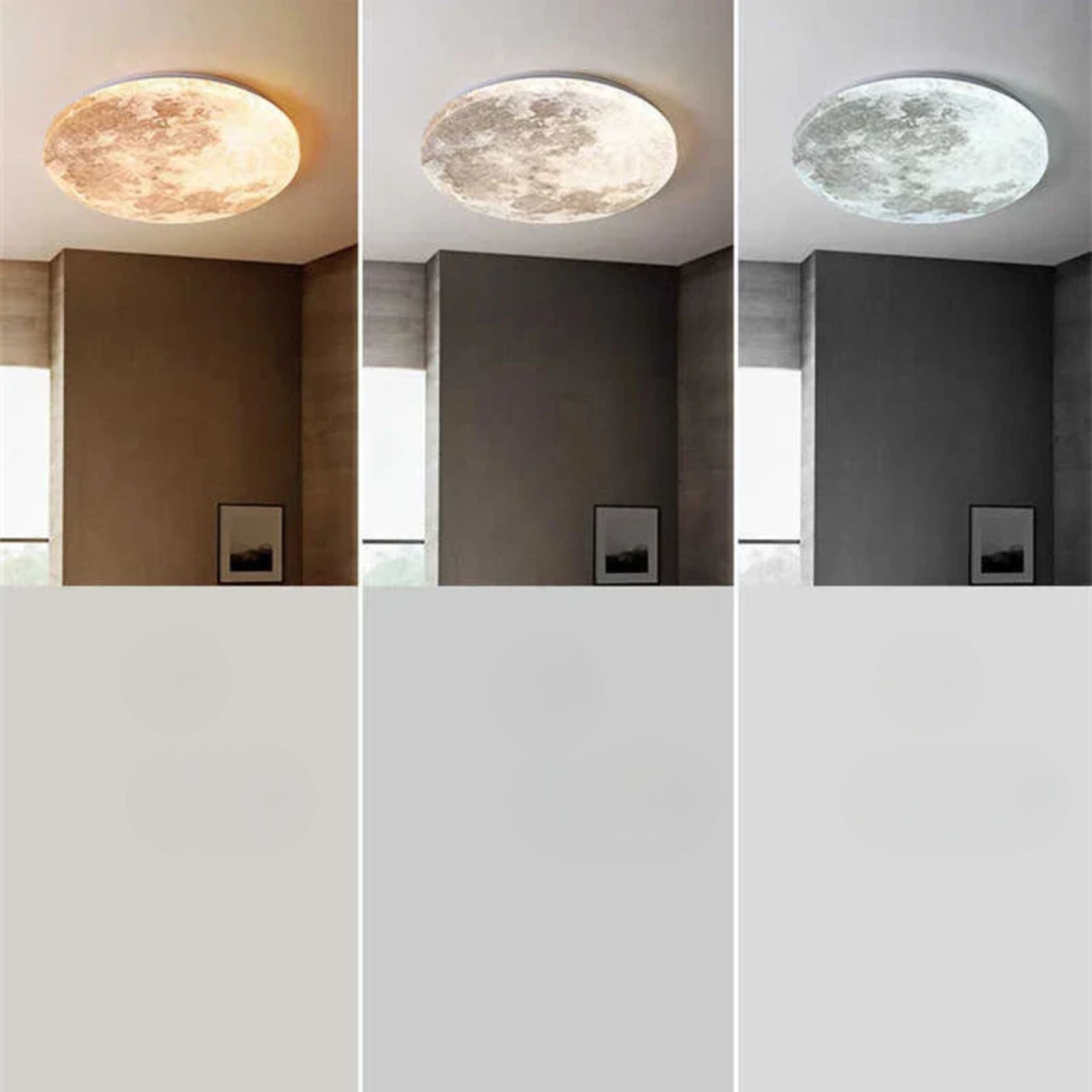 Looma Moon Light