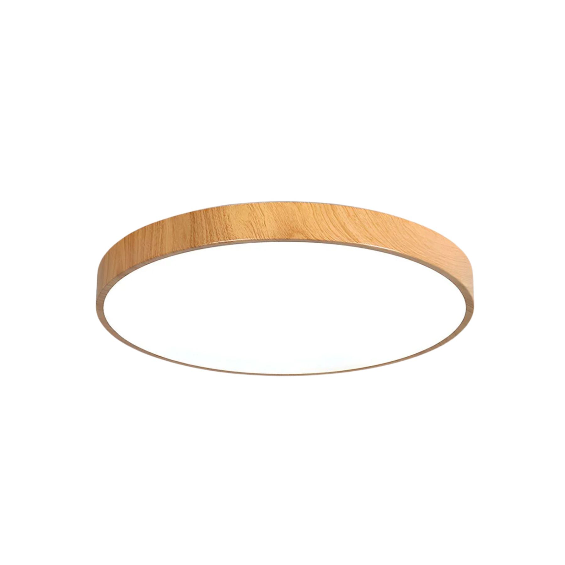 Concize Disc Ceiling Light
