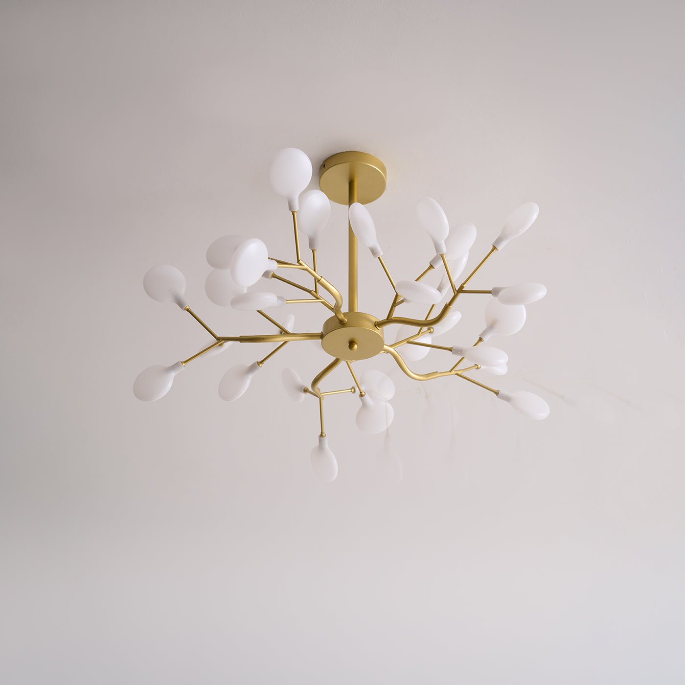 Filonea Pendant Light