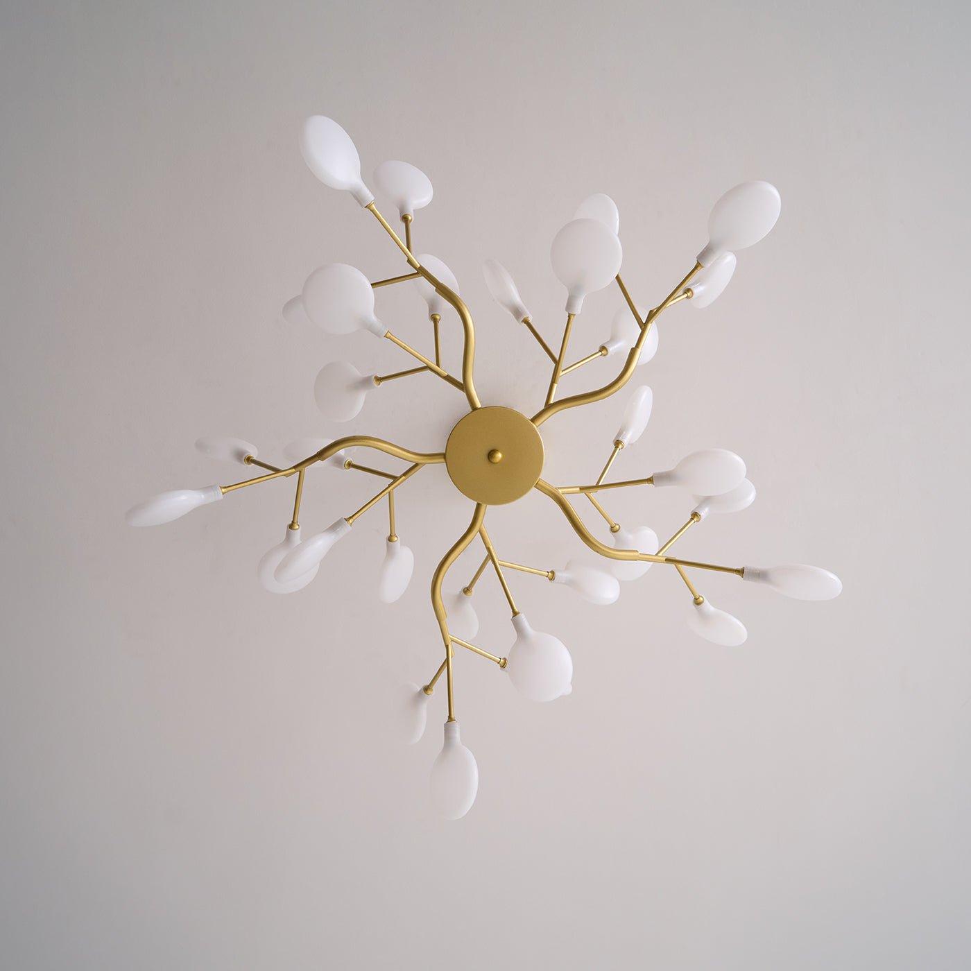 Filonea Pendant Light