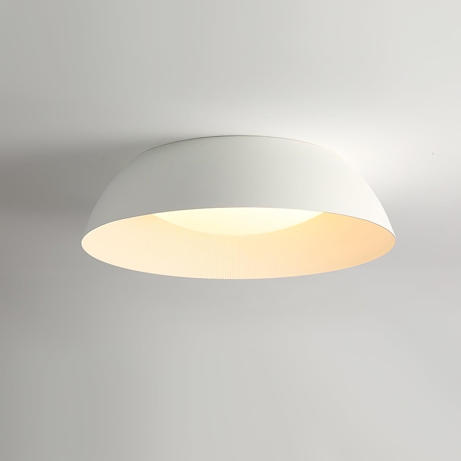 Lendsy Ceiling Light