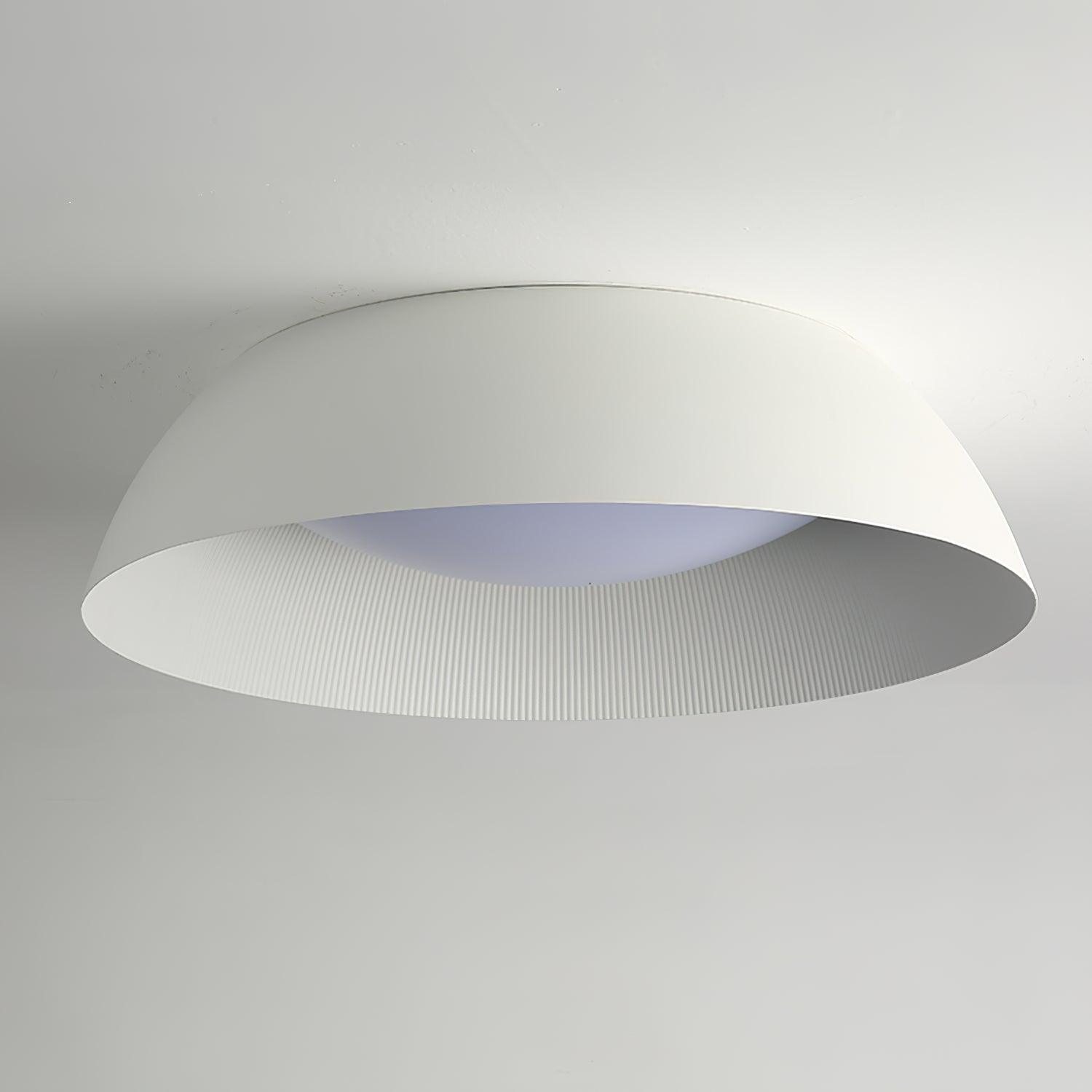 Lendsy Ceiling Light