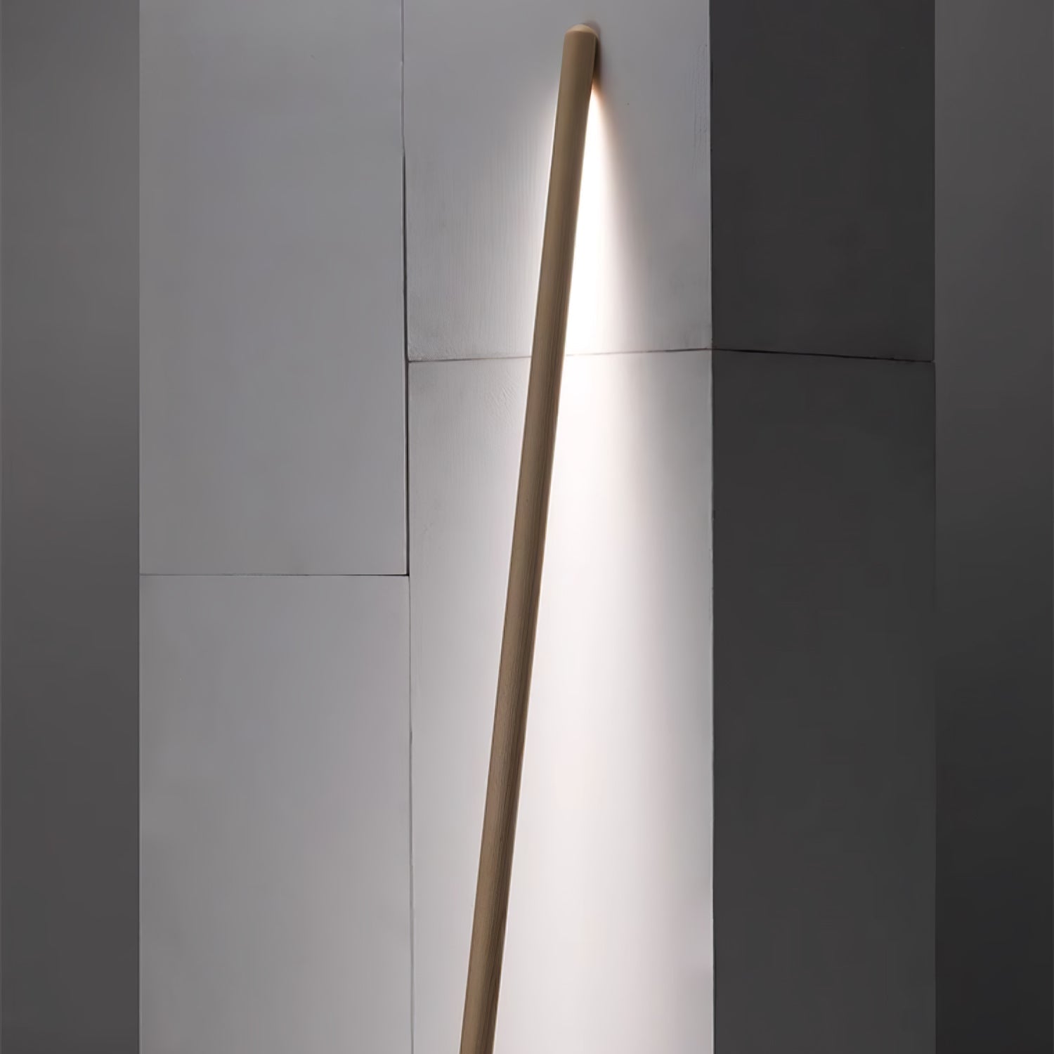 Muur Assist Floor Lamp