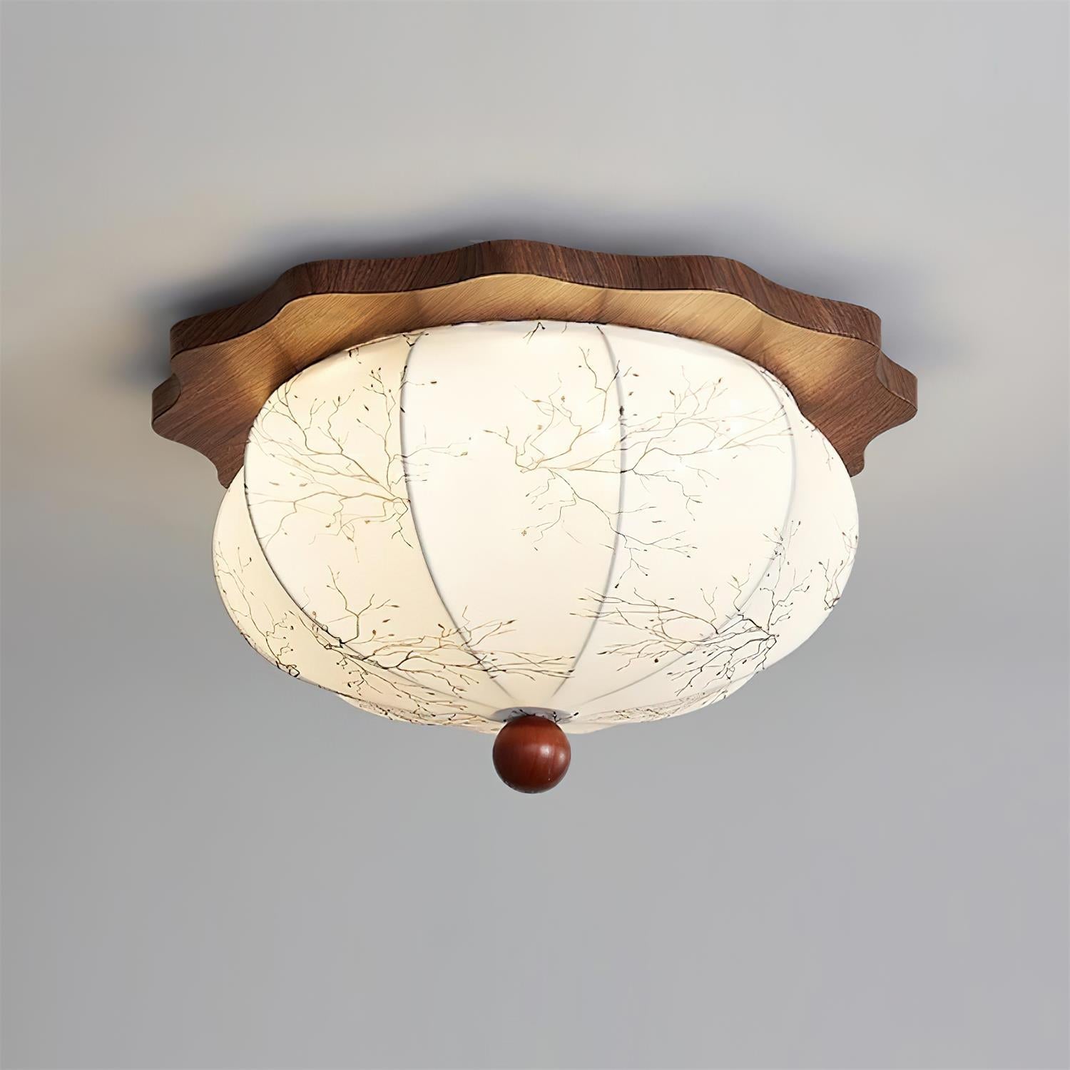 Leiyzan Ceiling Light