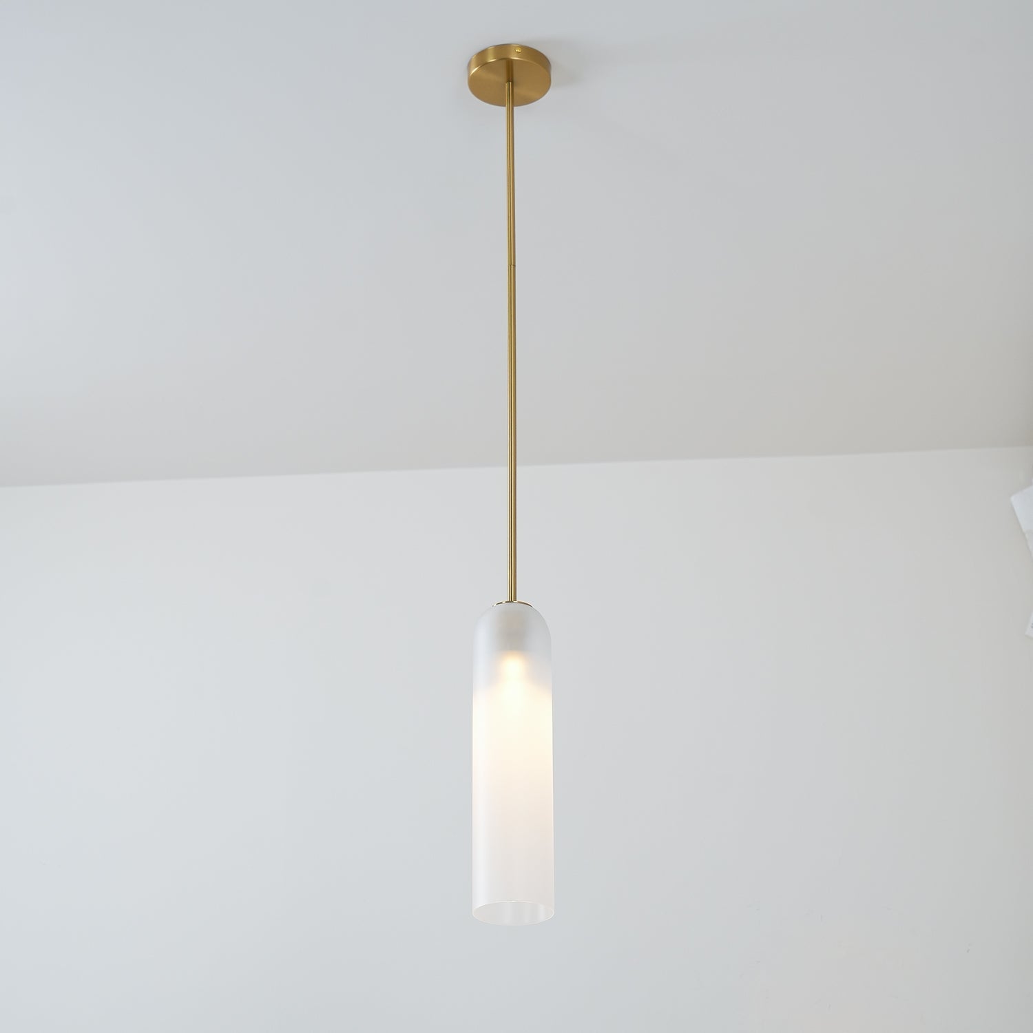 Zonelight Pendant Light