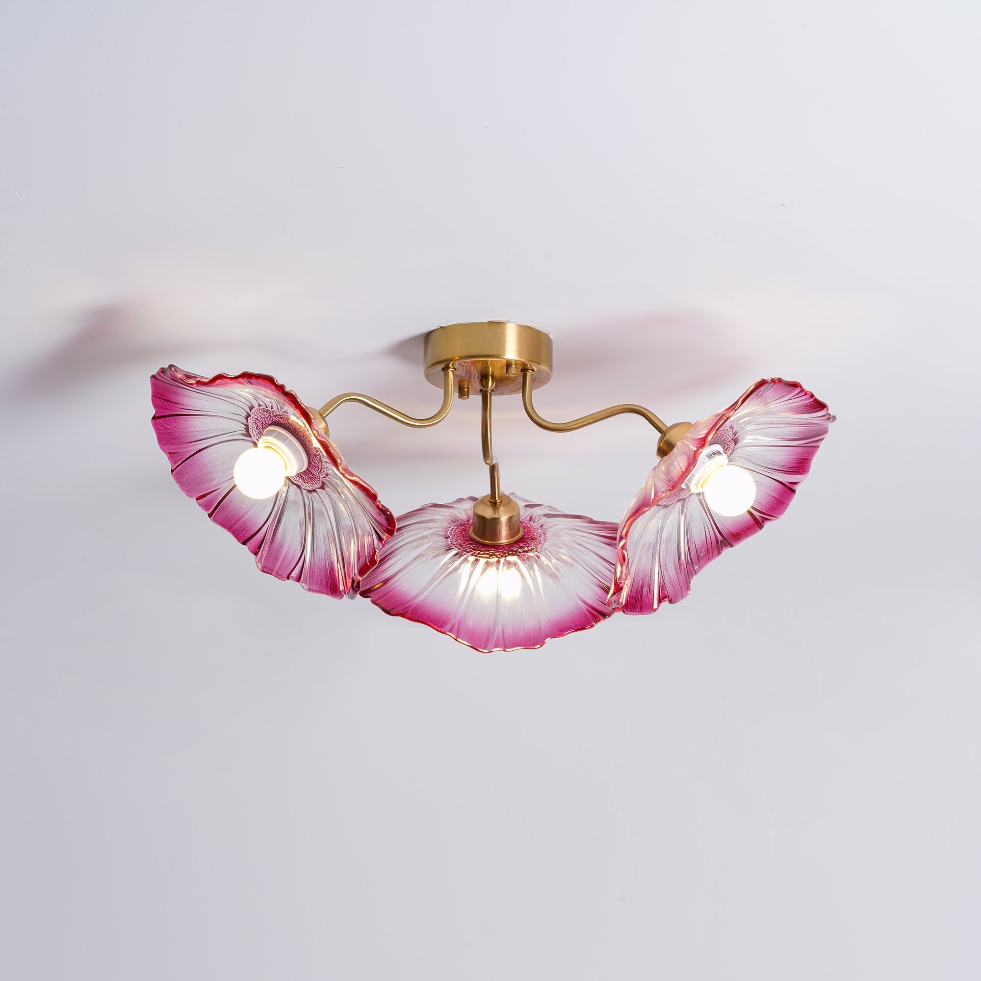 Mera Leaf Ceiling Light