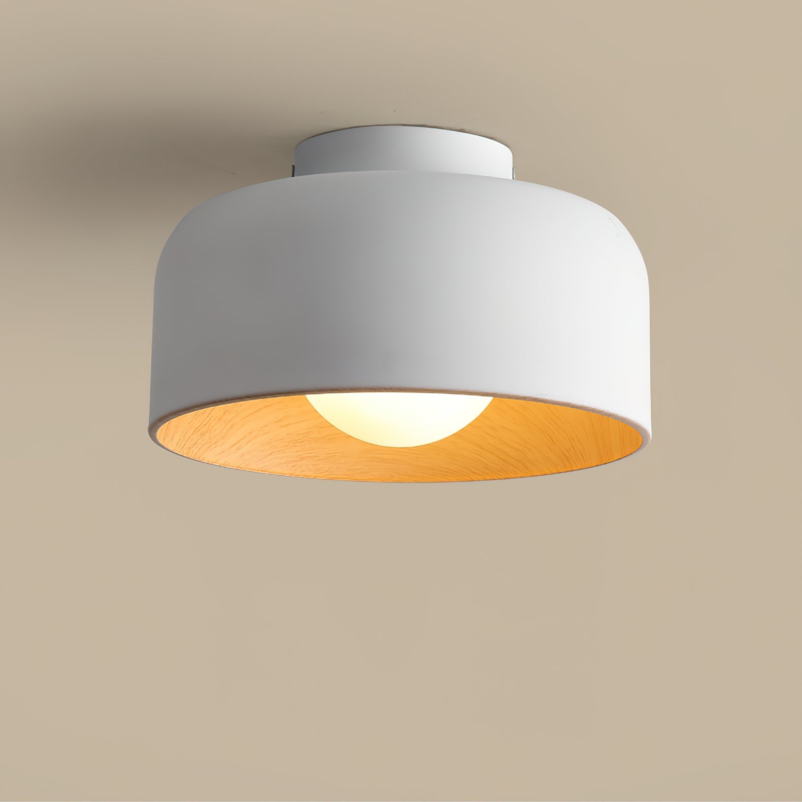 Zarnivo Ceiling Light