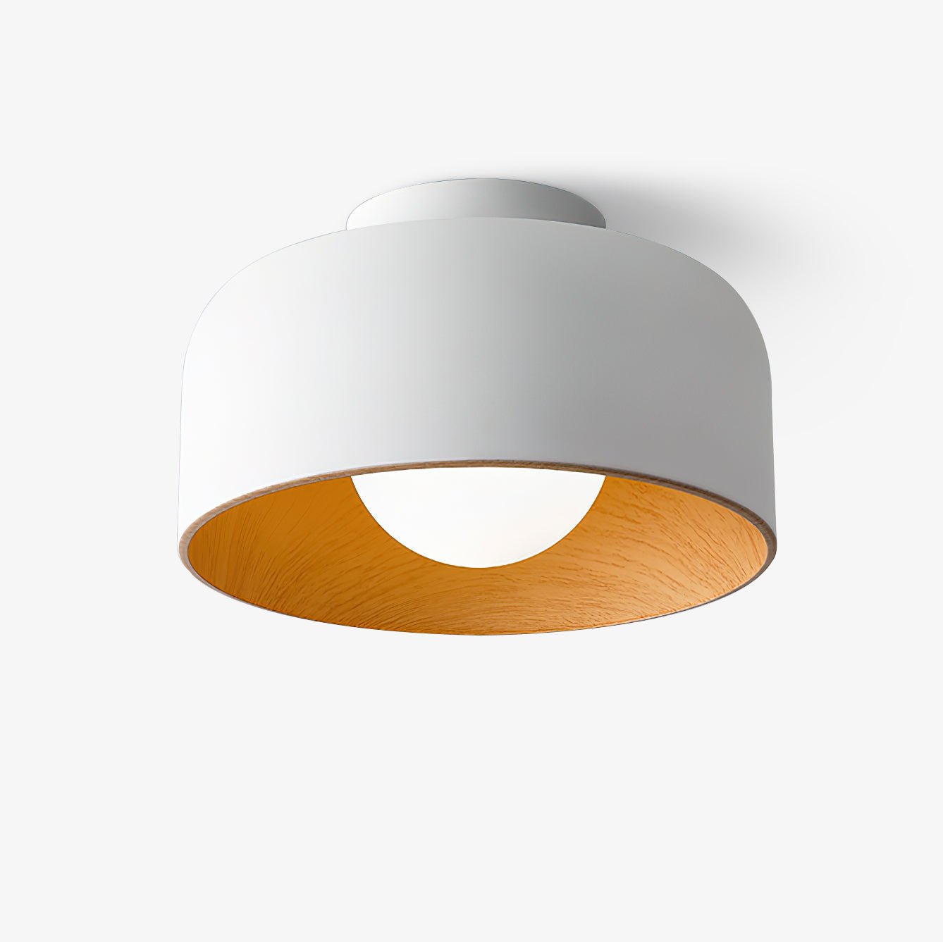 Zarnivo Ceiling Light