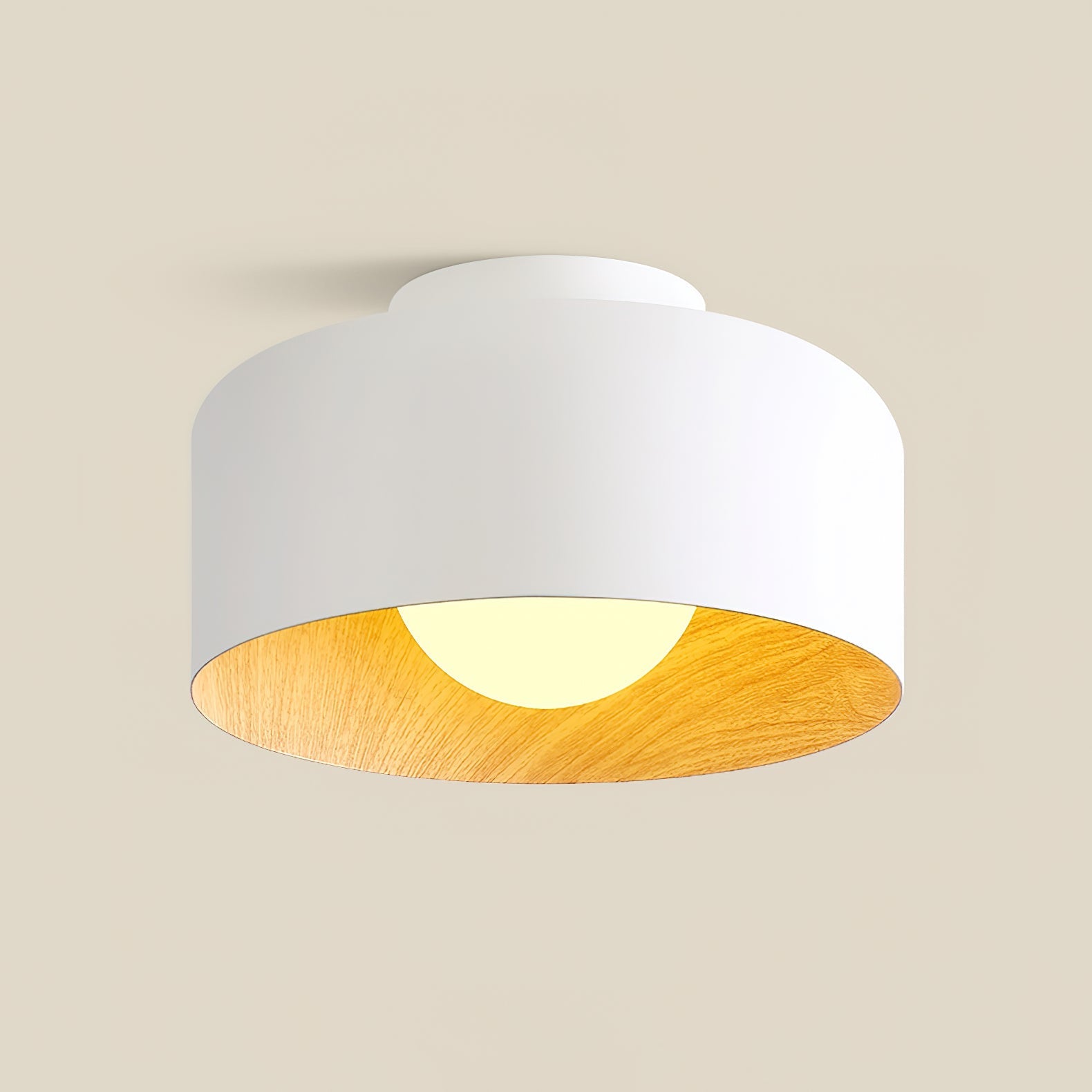 Zarnivo Ceiling Light