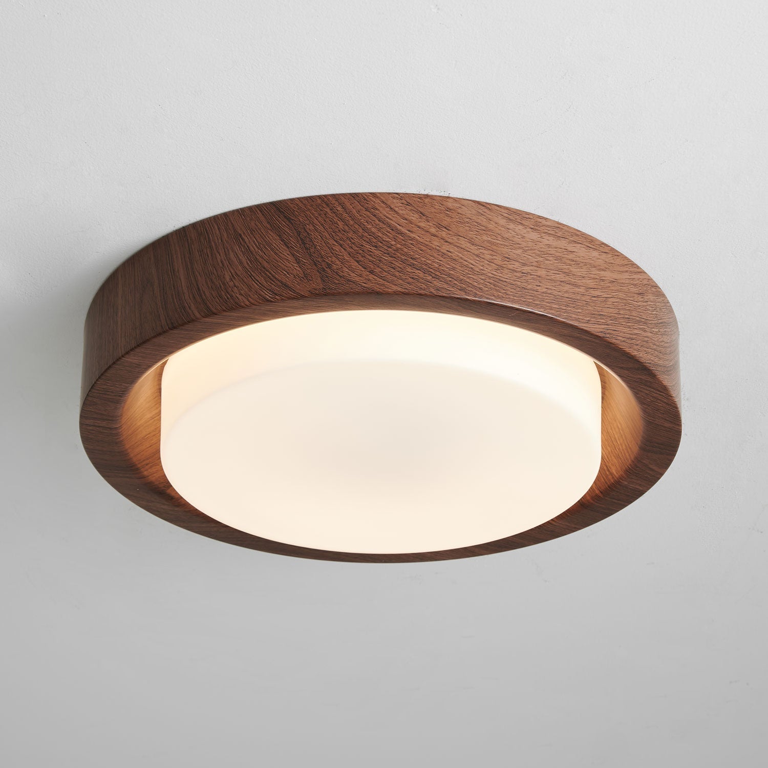 Lumza Ring Shape Ceiling Light