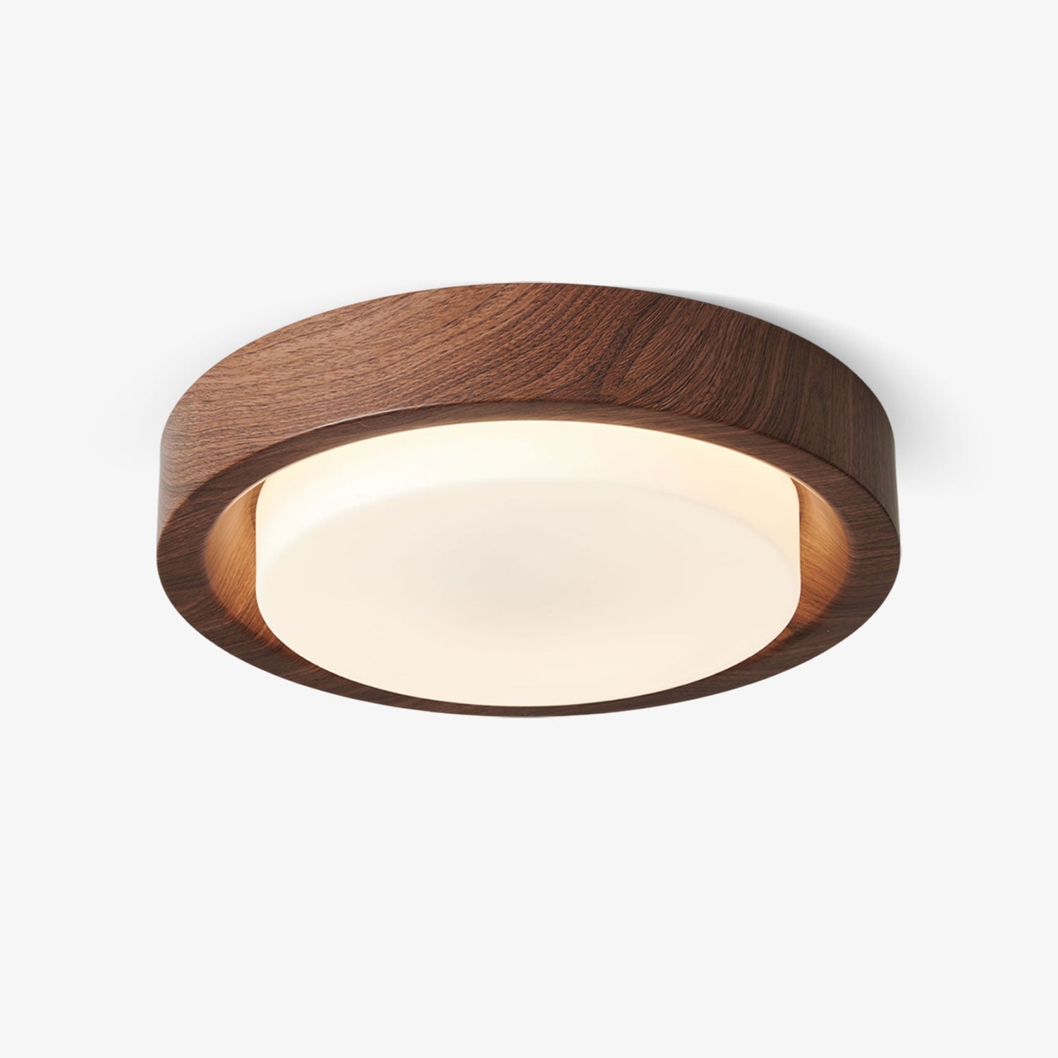 Lumza Ring Shape Ceiling Light