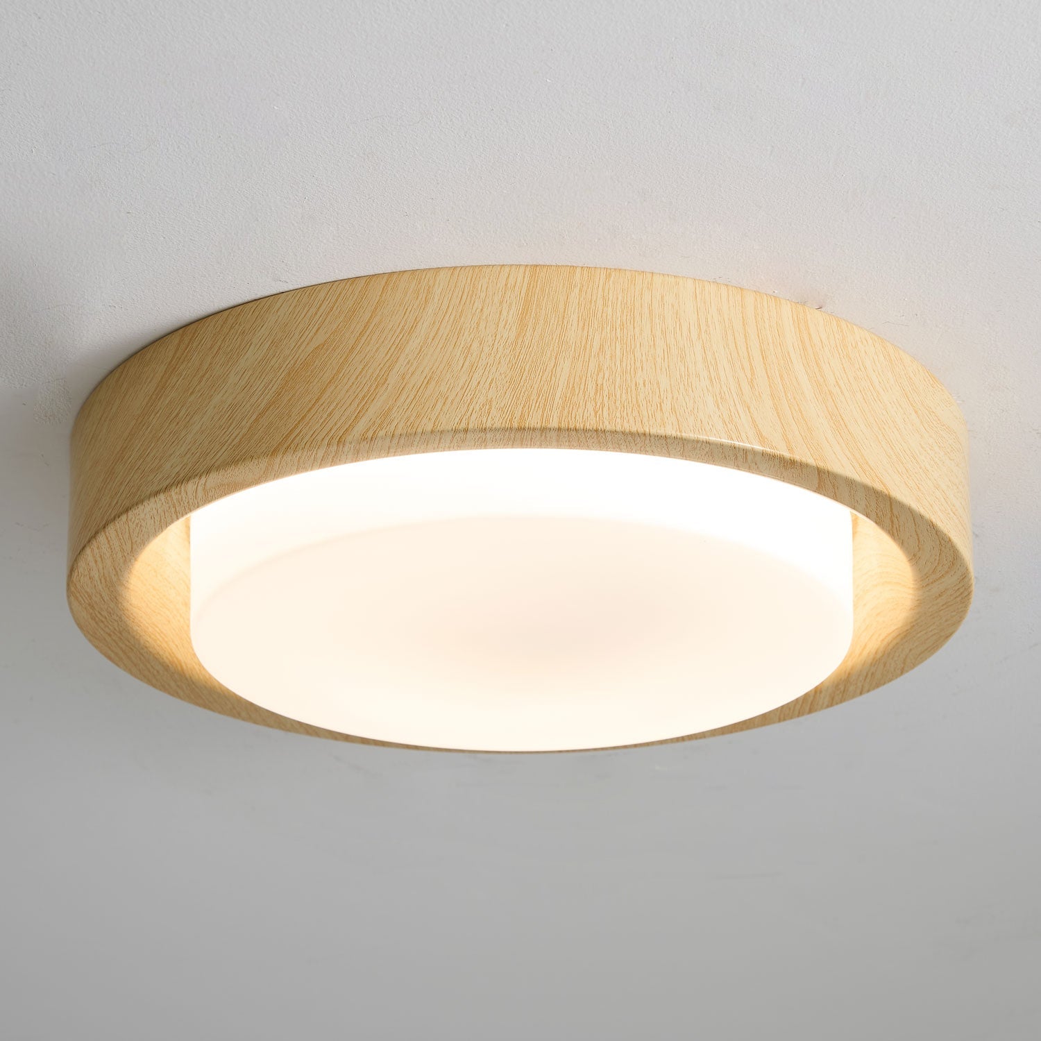 Lumza Ring Shape Ceiling Light