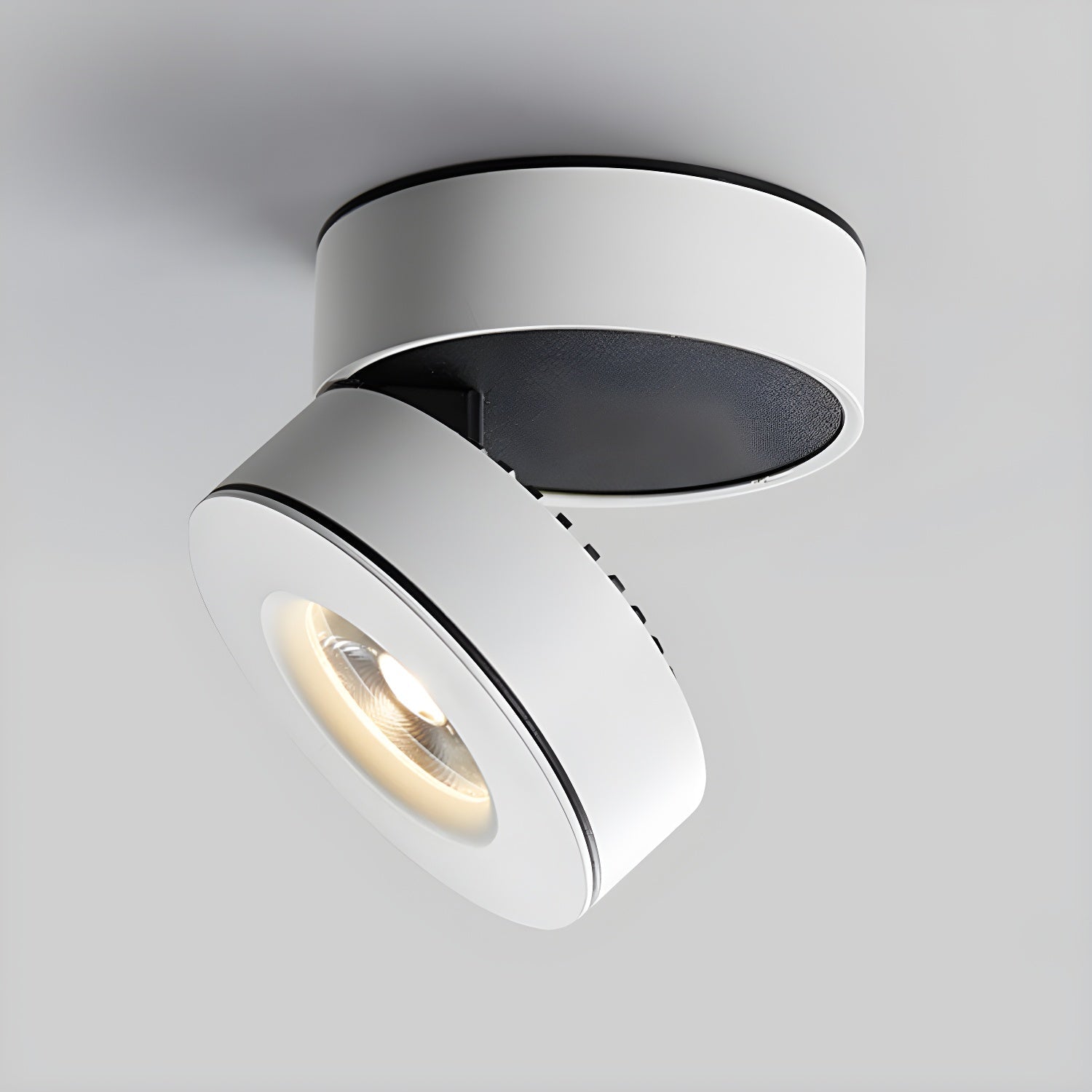Lymza Spotlight Ceiling Light