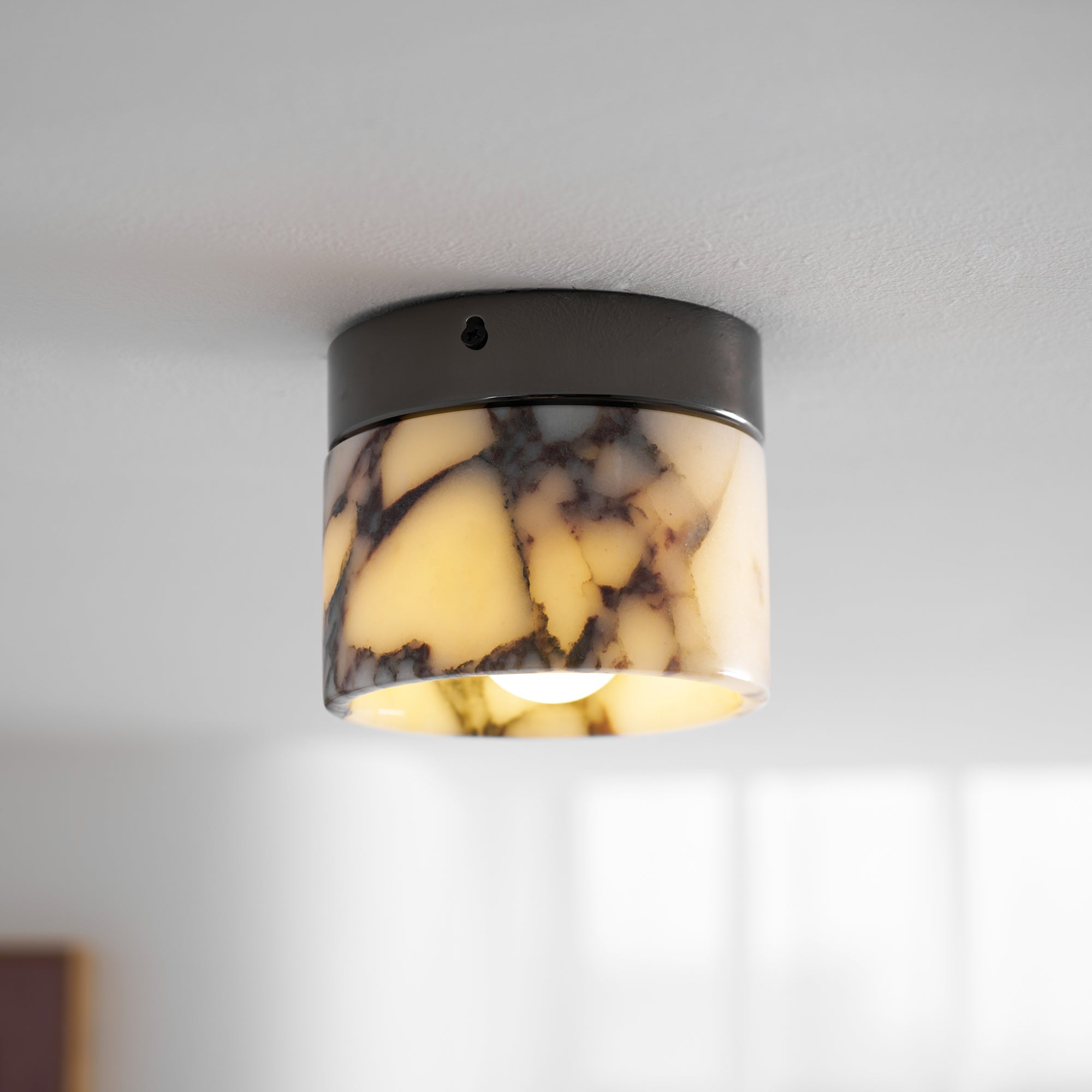 Eldialey Ceiling Light