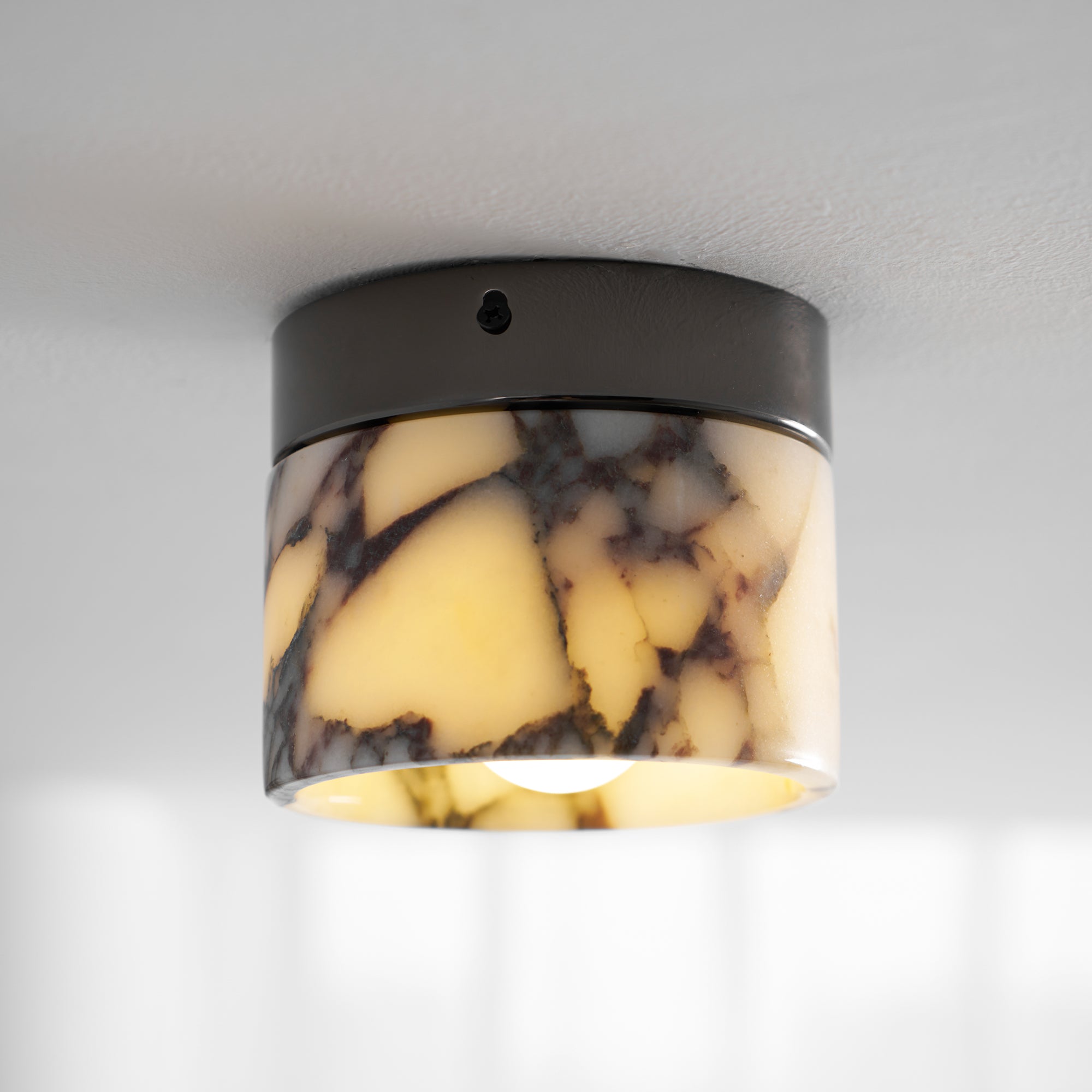 Eldialey Ceiling Light