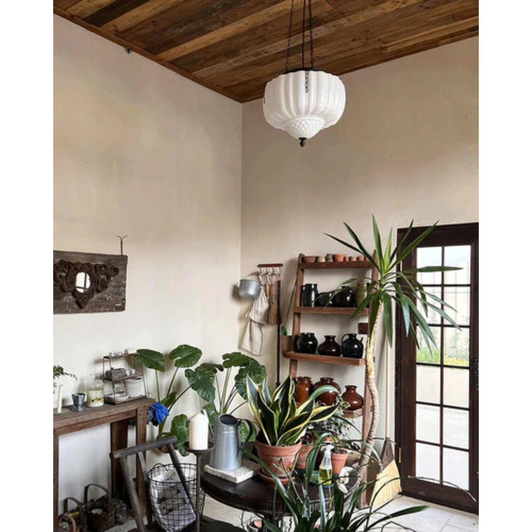 Anola Pendant Light
