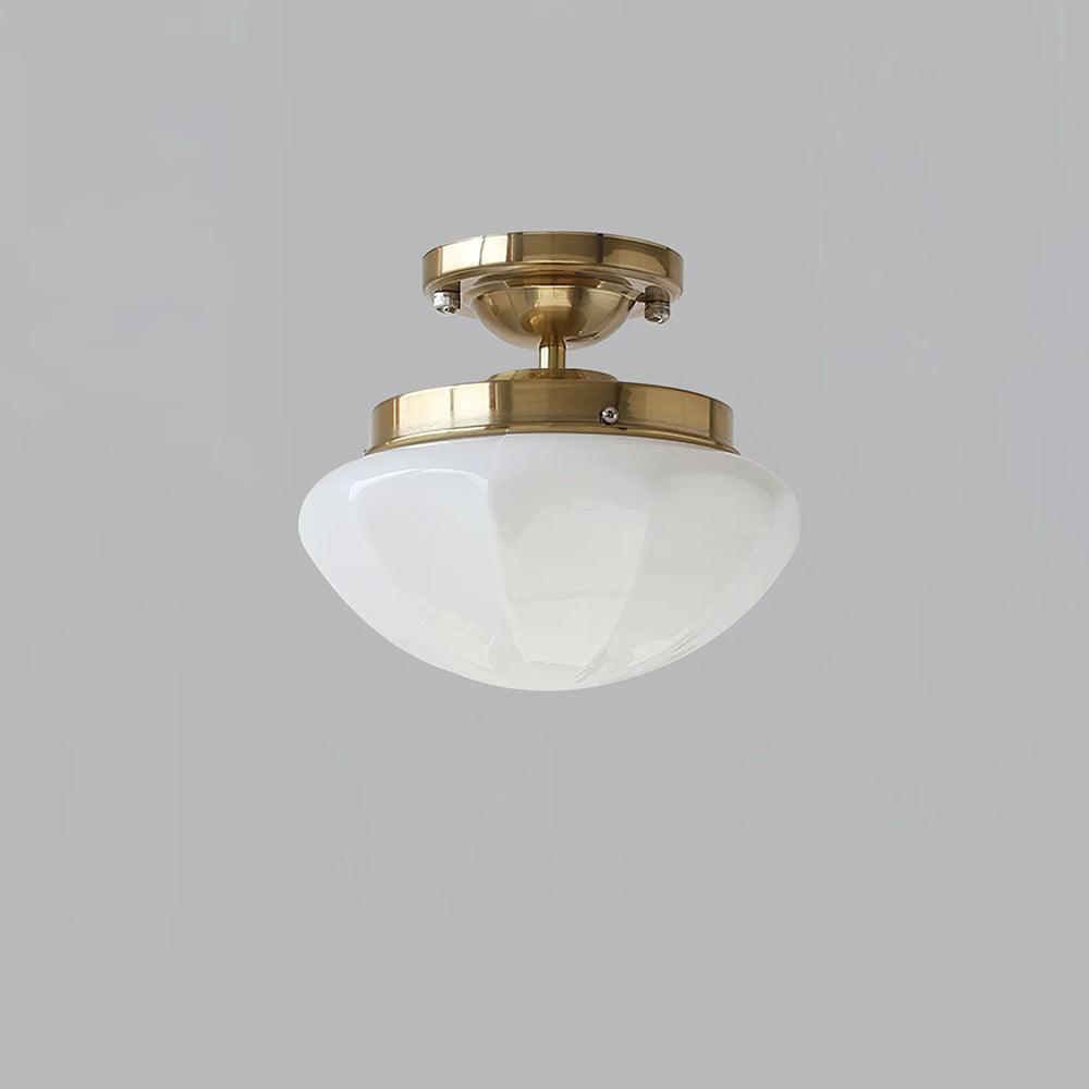 Elvaya Ceiling Light