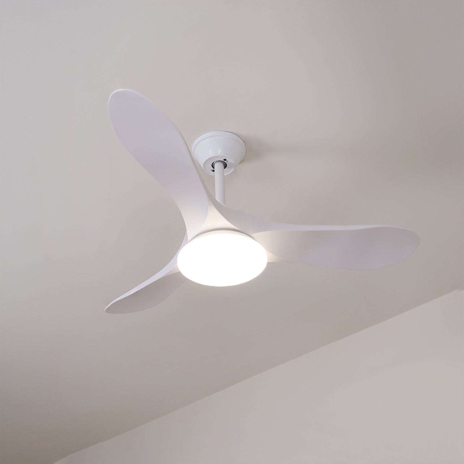 Lemokis LED Ceiling Fan