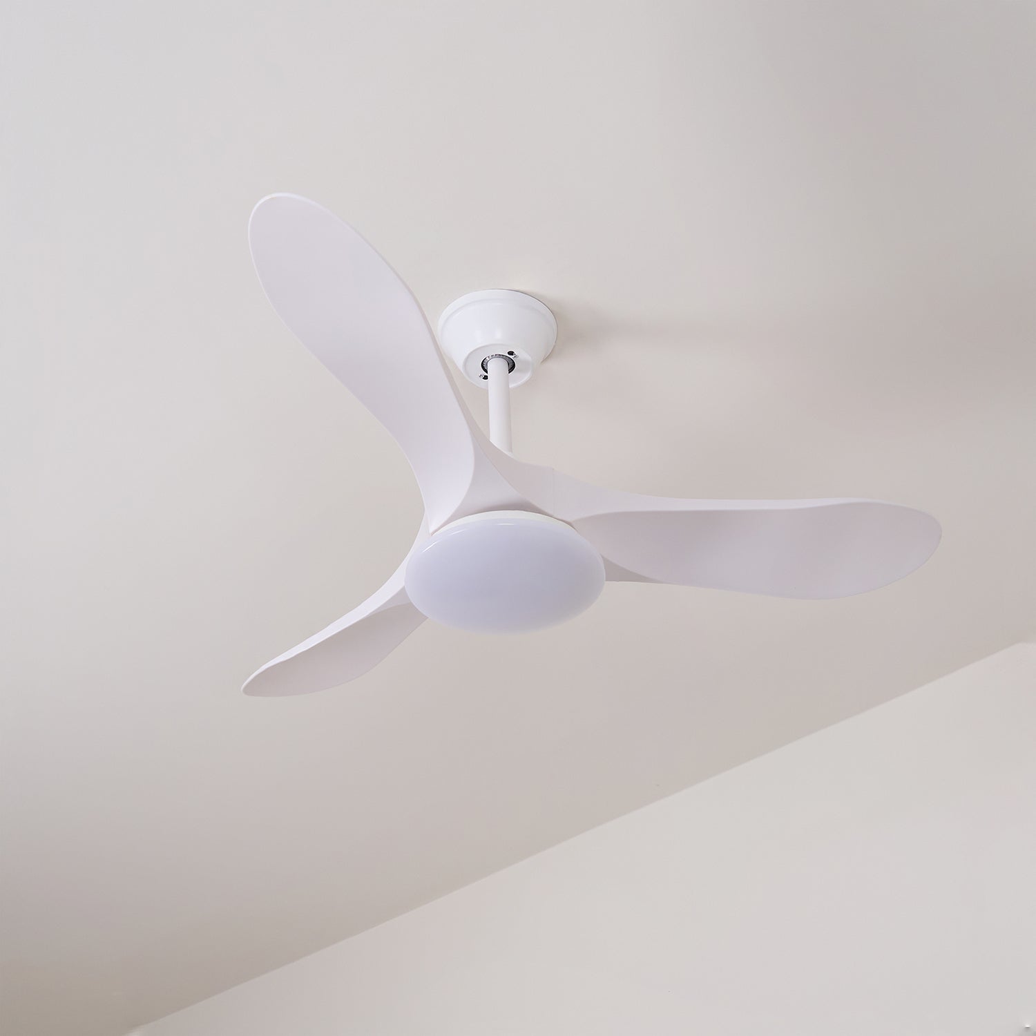 Lemokis LED Ceiling Fan