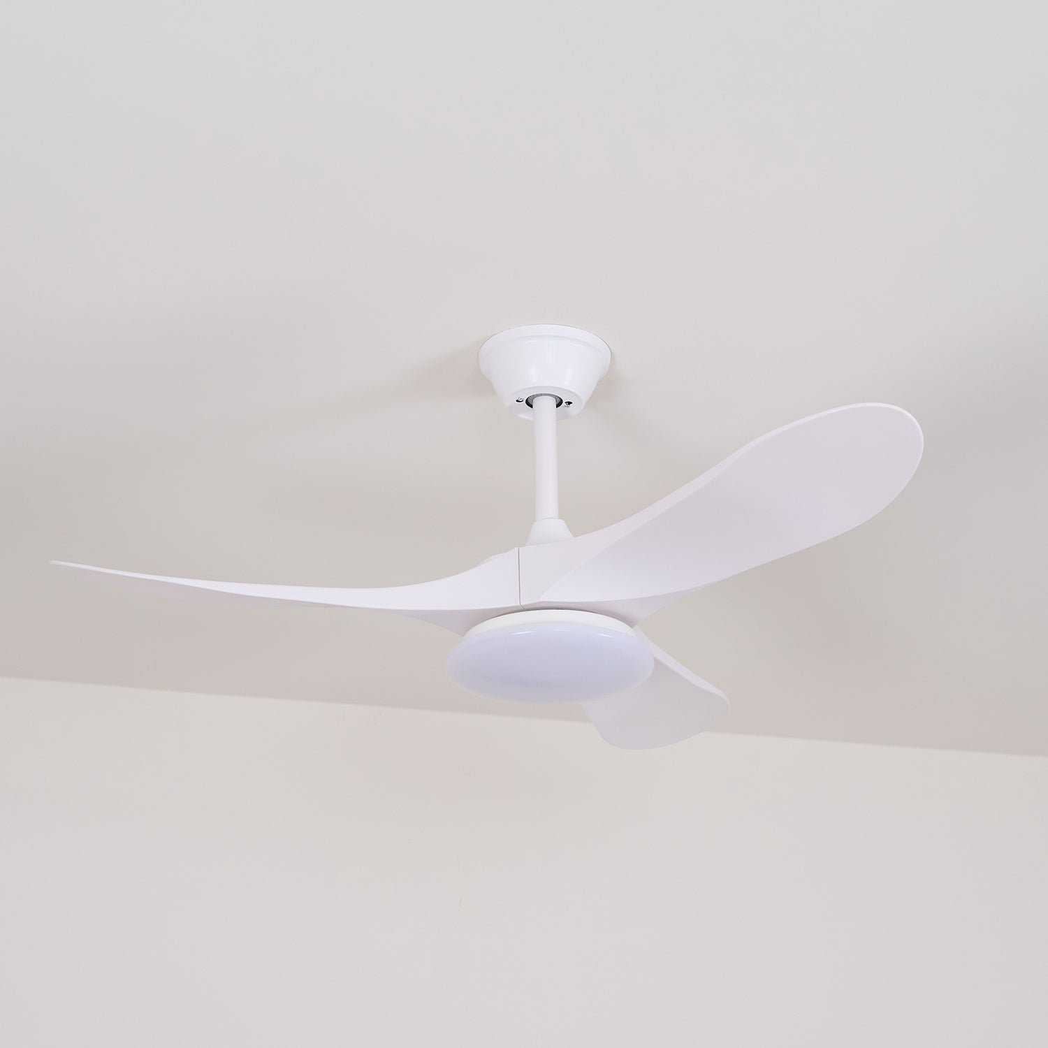 Lemokis LED Ceiling Fan