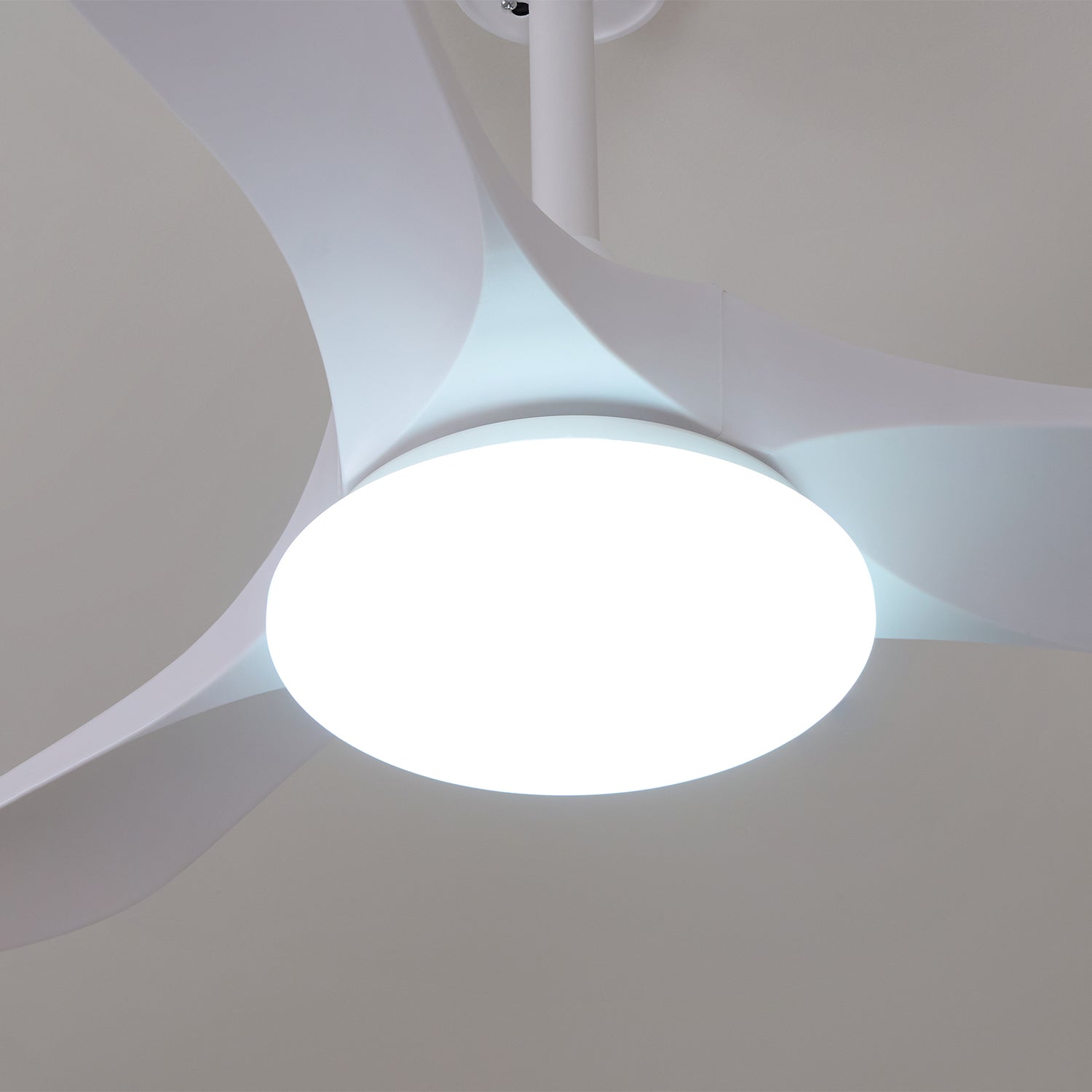 Lemokis LED Ceiling Fan