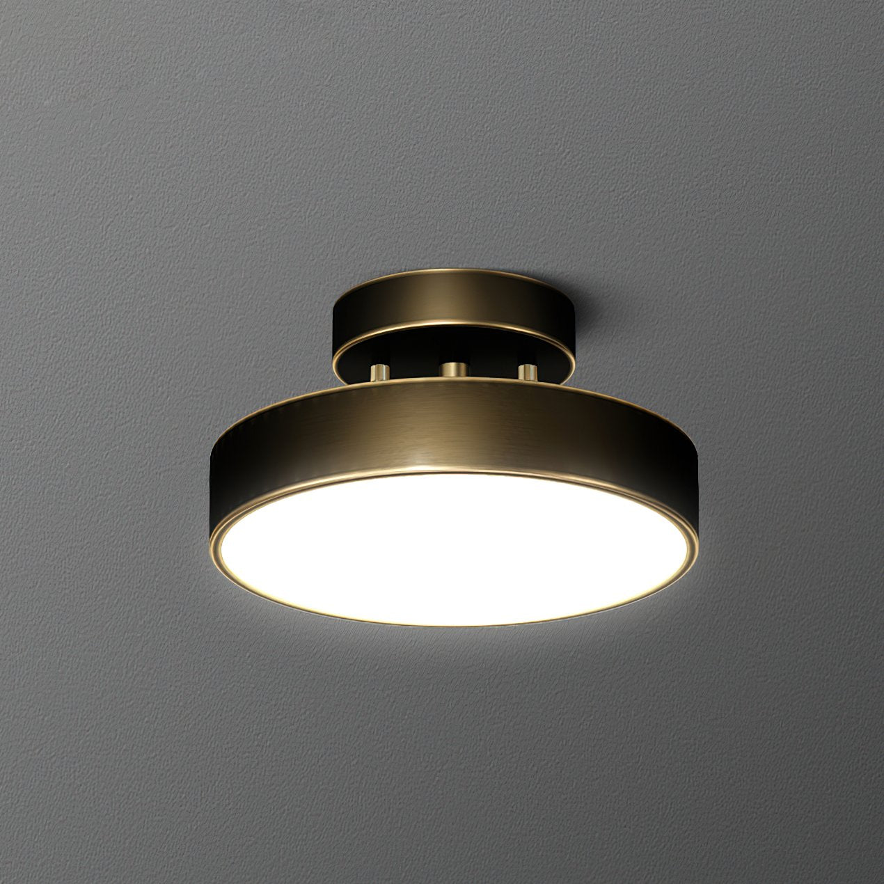 Seccon Ceiling Light