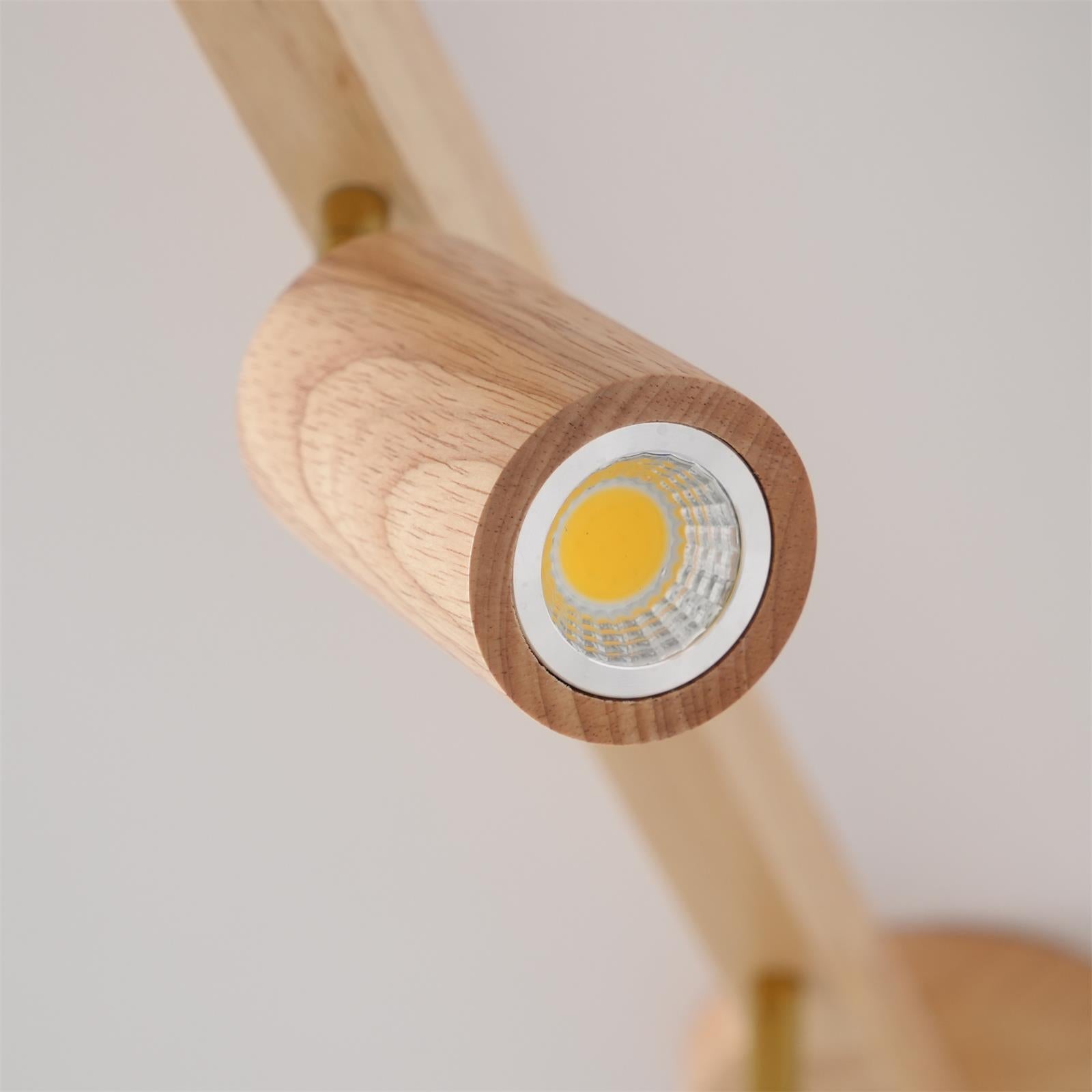 Cennoford Ceiling Light
