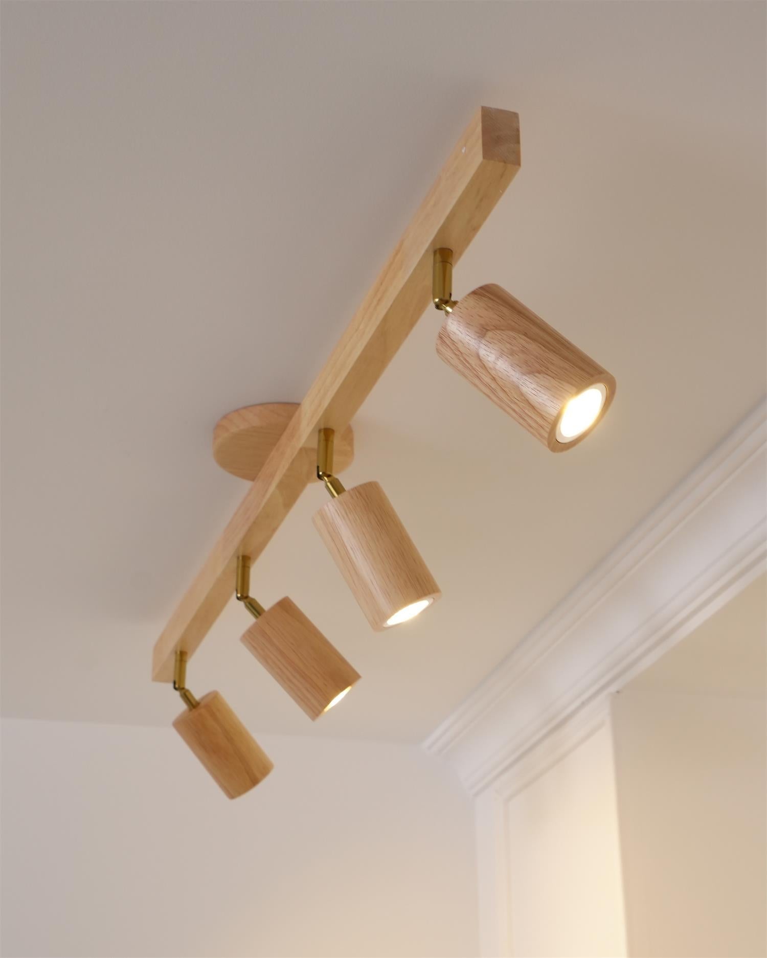 Cennoford Ceiling Light